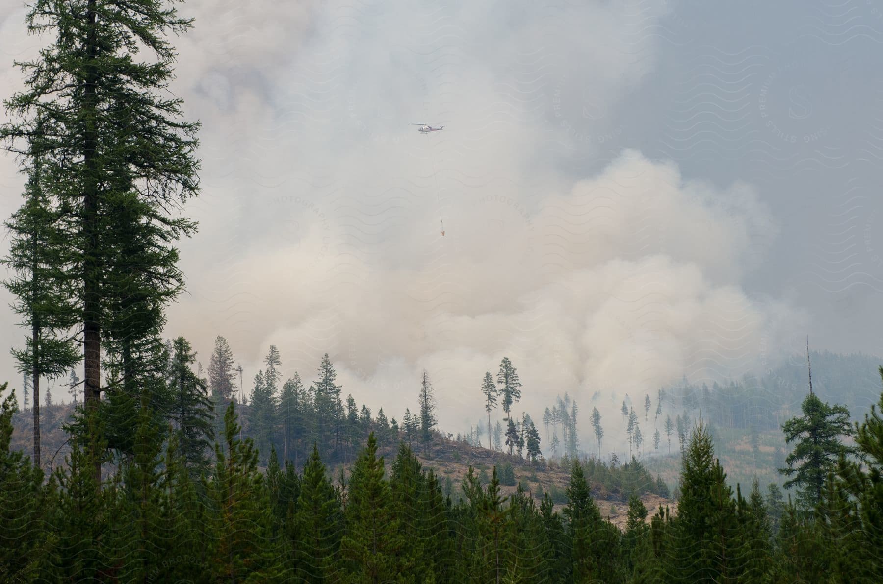 Heavy smoke billows from a burning forest as a helicopter drops water over it