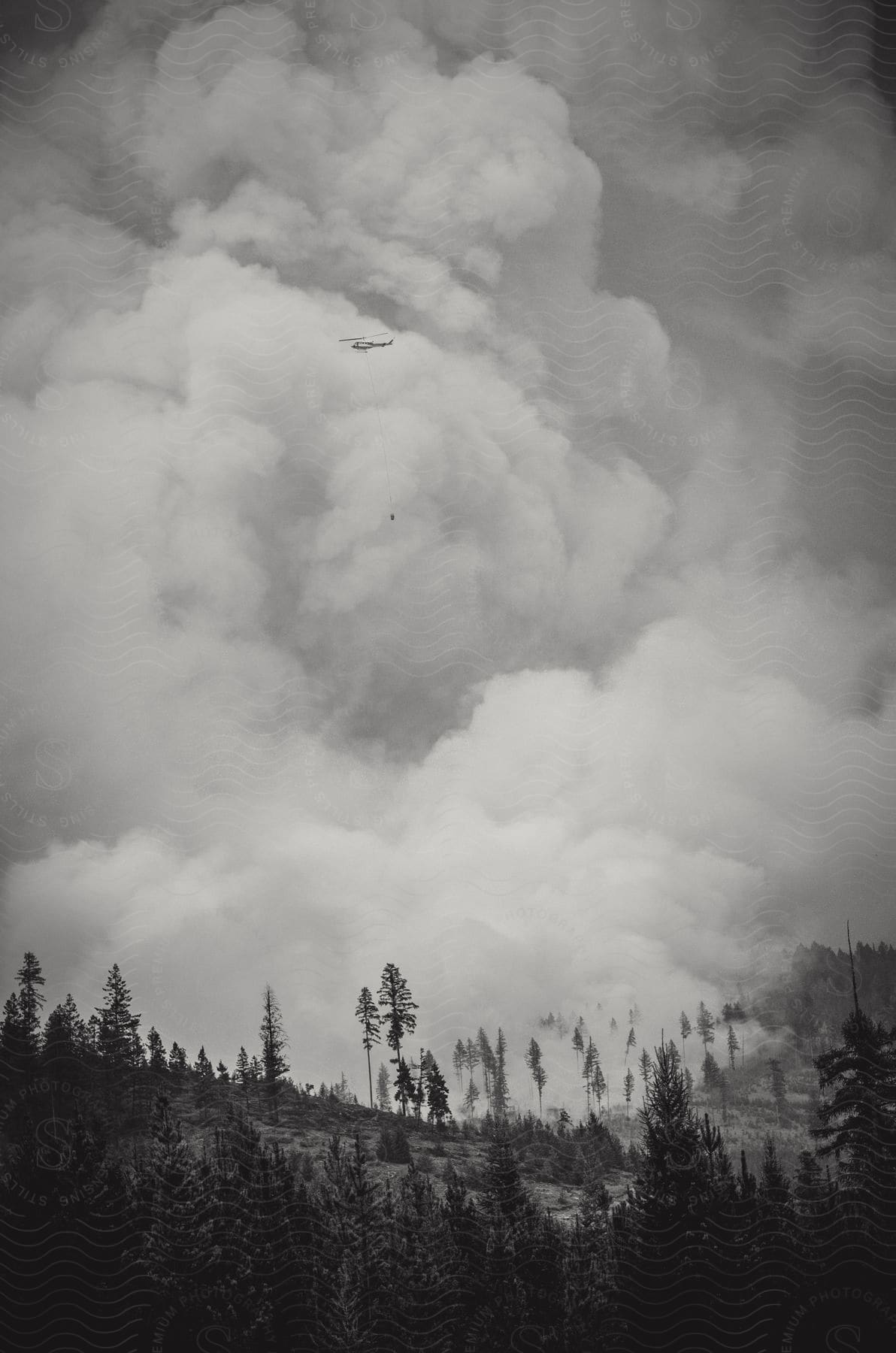 A helicopter flies above the woods in british columbia canada