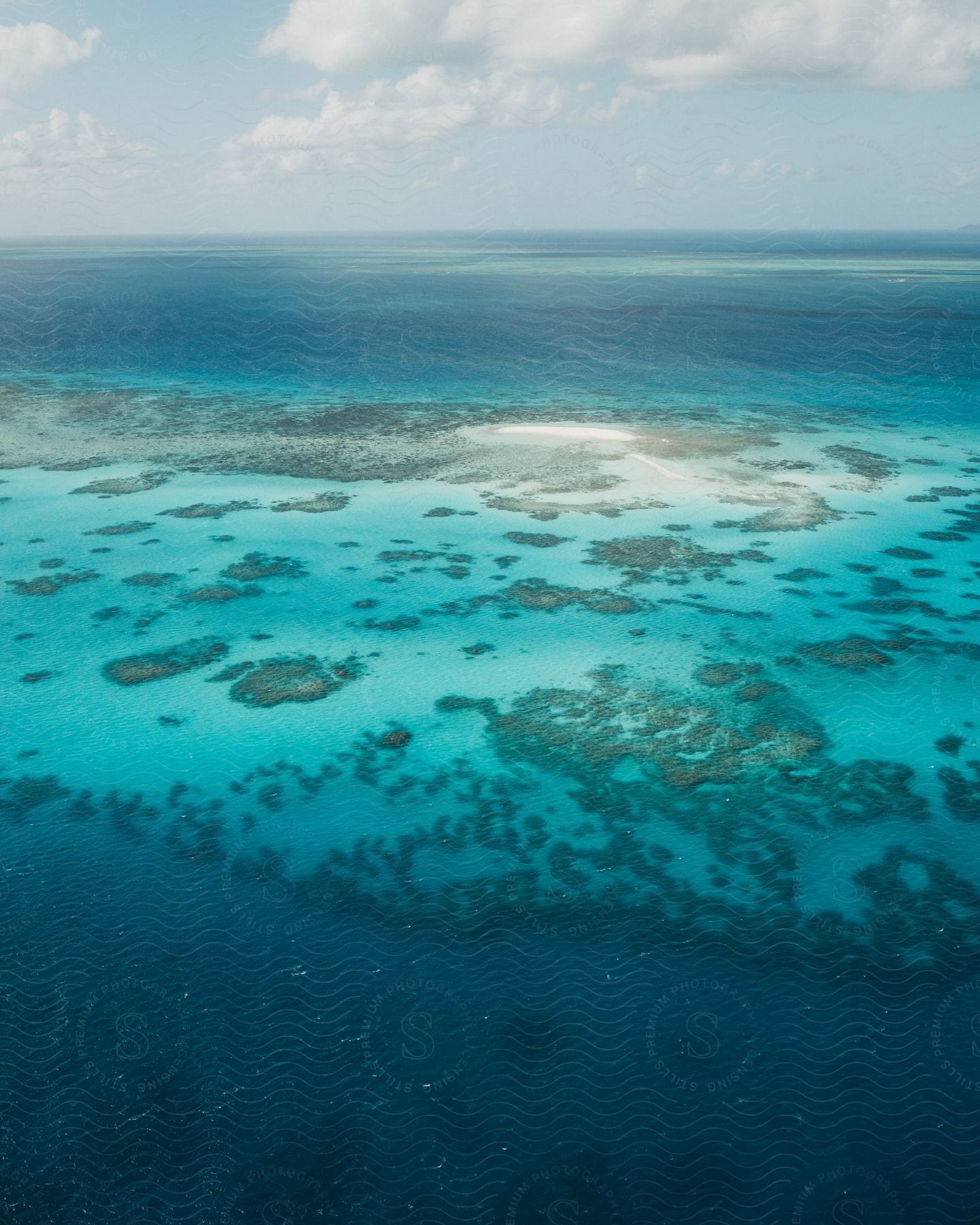 A colorful water land with green particles in the water