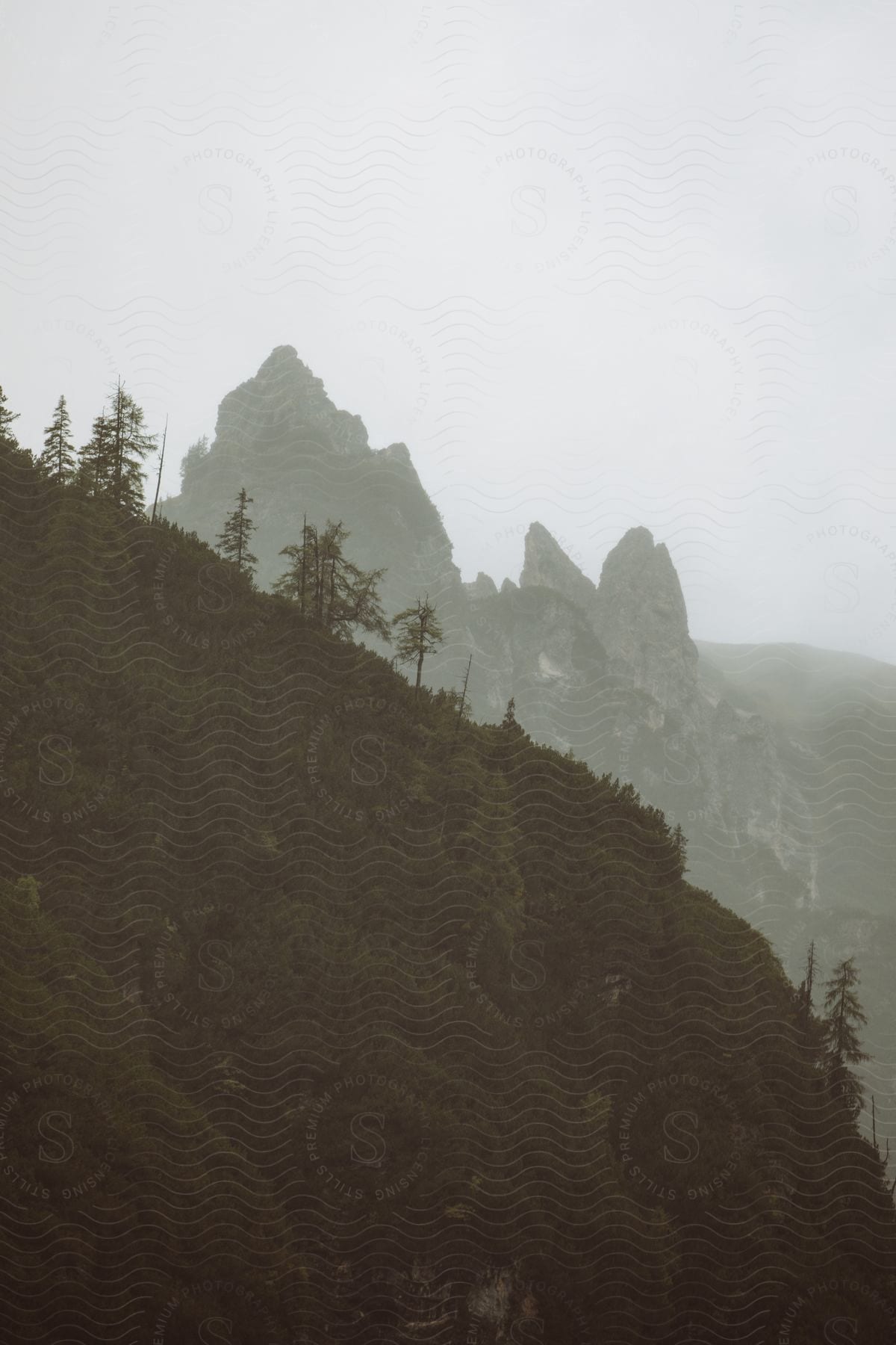 A grassy land lot on a mountain with a cloudy sky