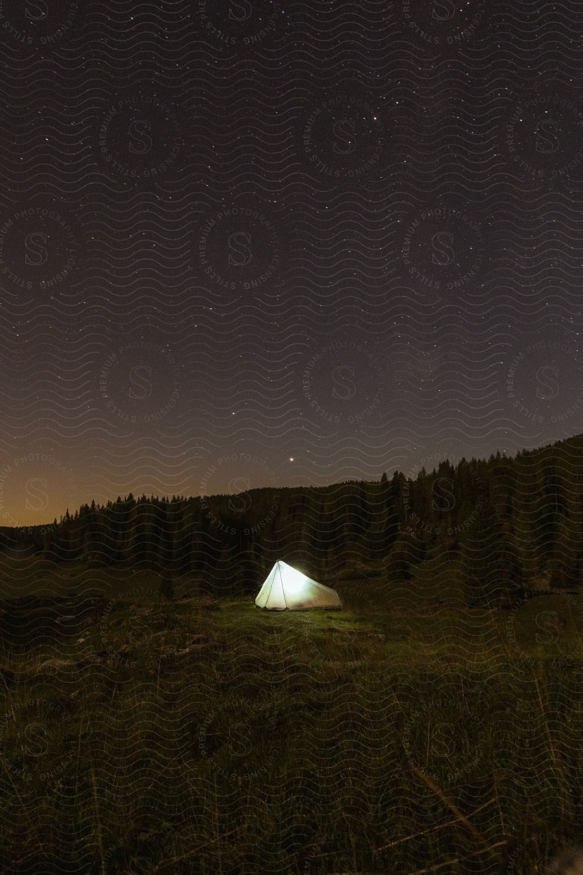 A tent illuminated next to an evergreen forest at night