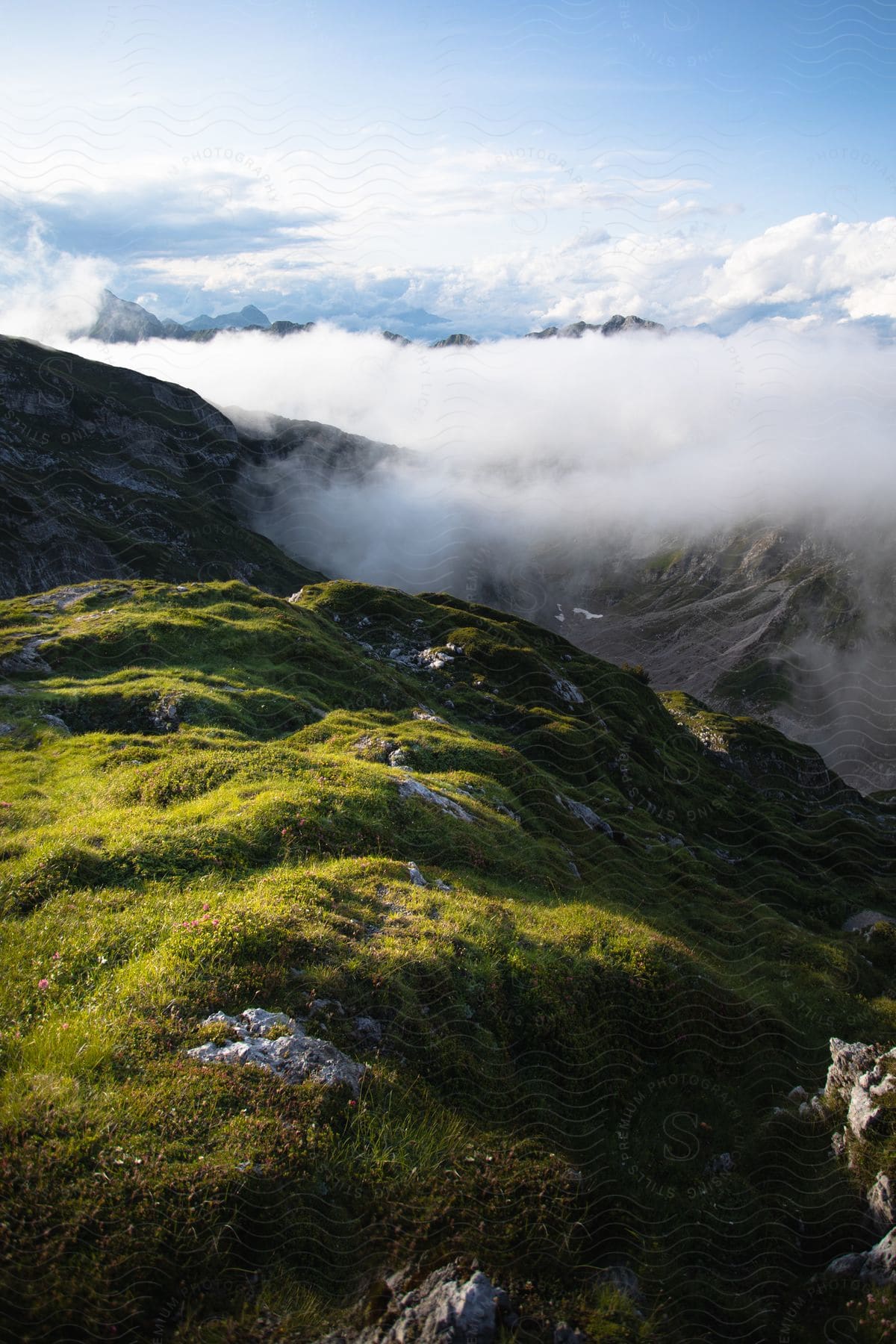 Gassy mountain top overlooking a mountain range with low hanging white clouds and blue sky