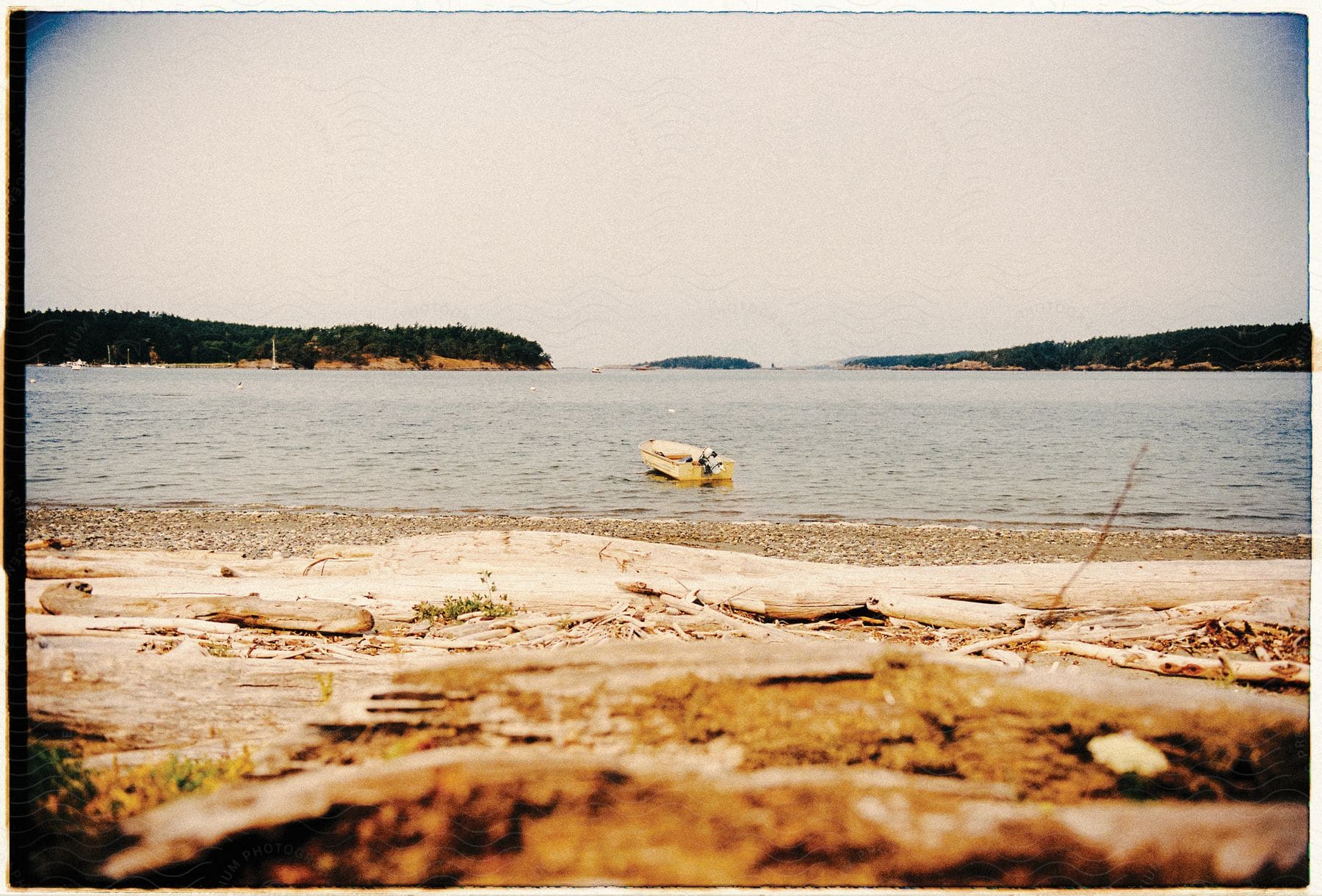 A yellow boat sits in a lake near the shore