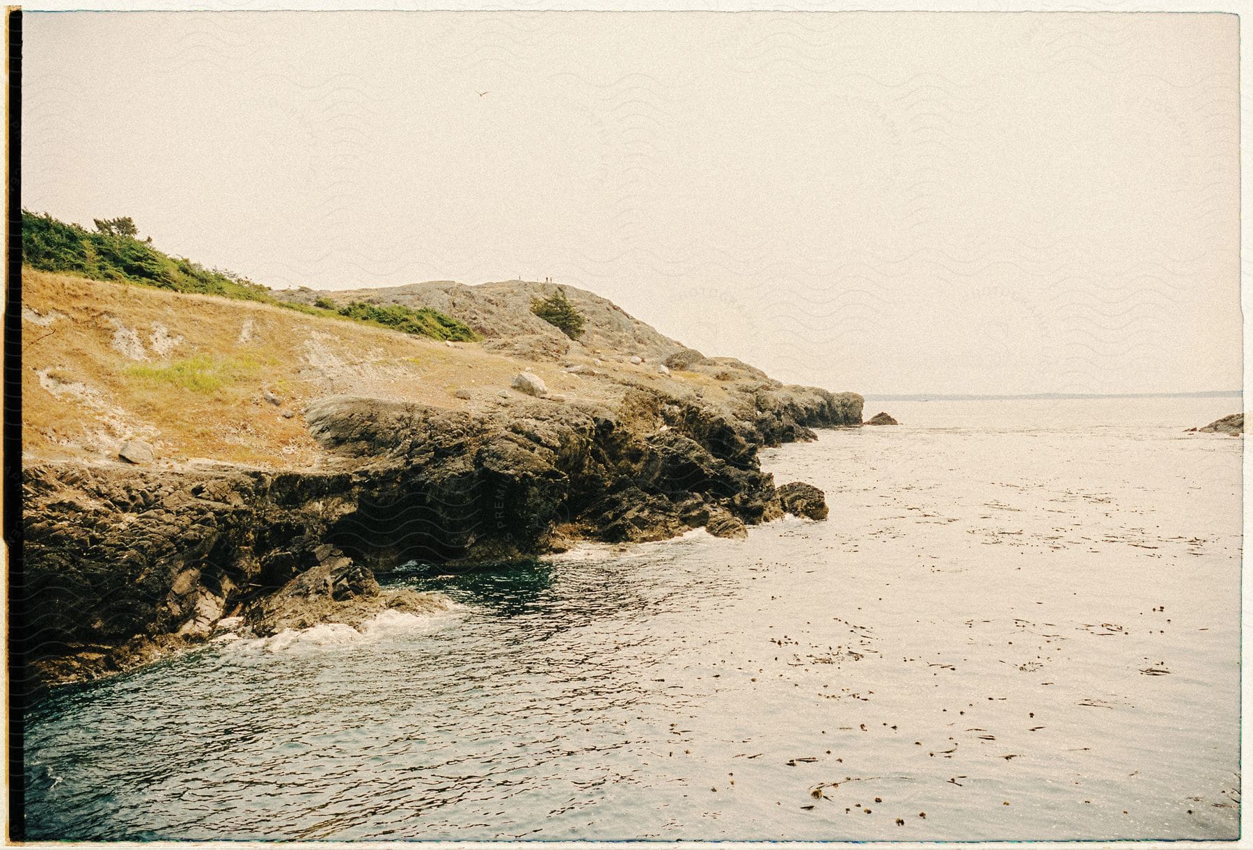 Coastal landscape featuring mountains forest water and shoreline