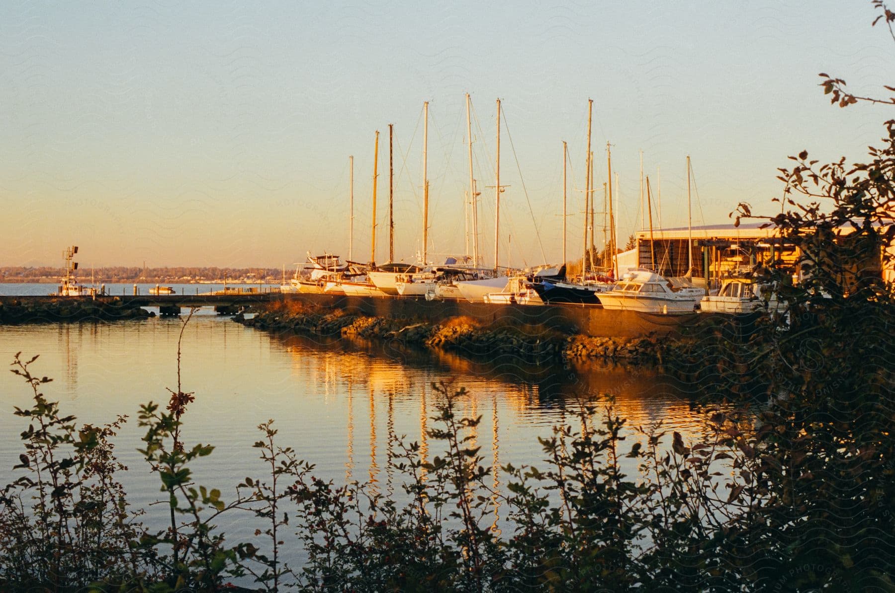 A dock in the evening with multiple boats docked and still water