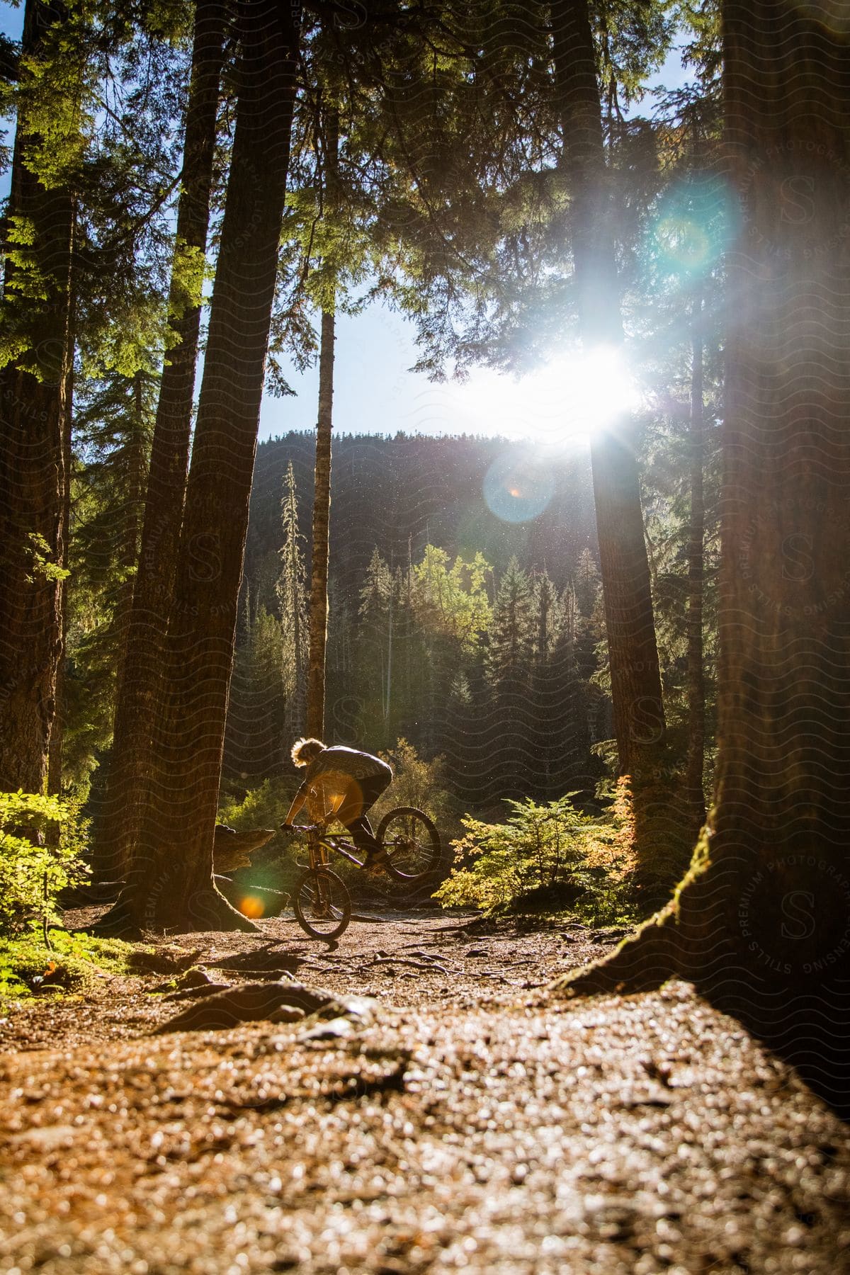 A Man Jumps In The Air On A Mountain Bike In A Forest Near A Mountain