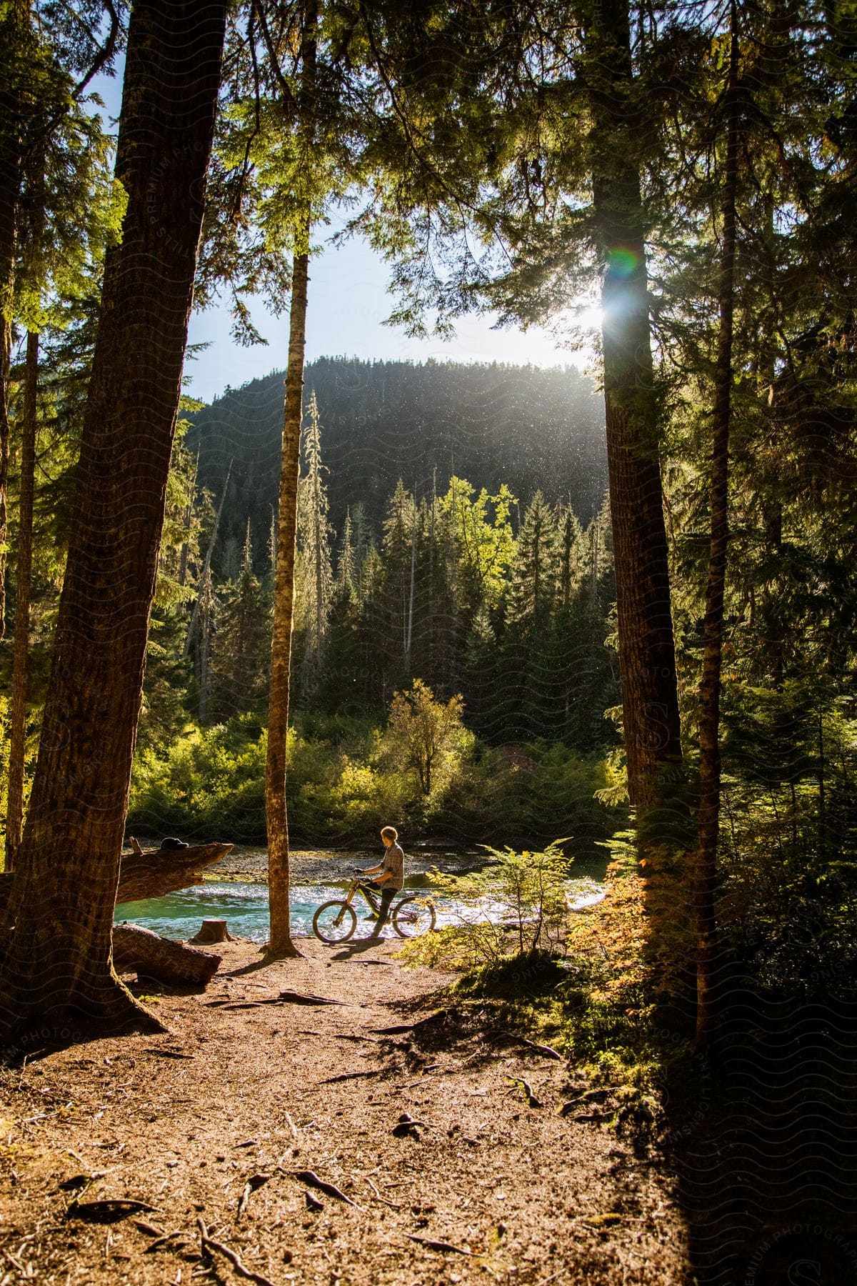 A person sitting on a bicycle by the river in a pine tree forest in the mountains