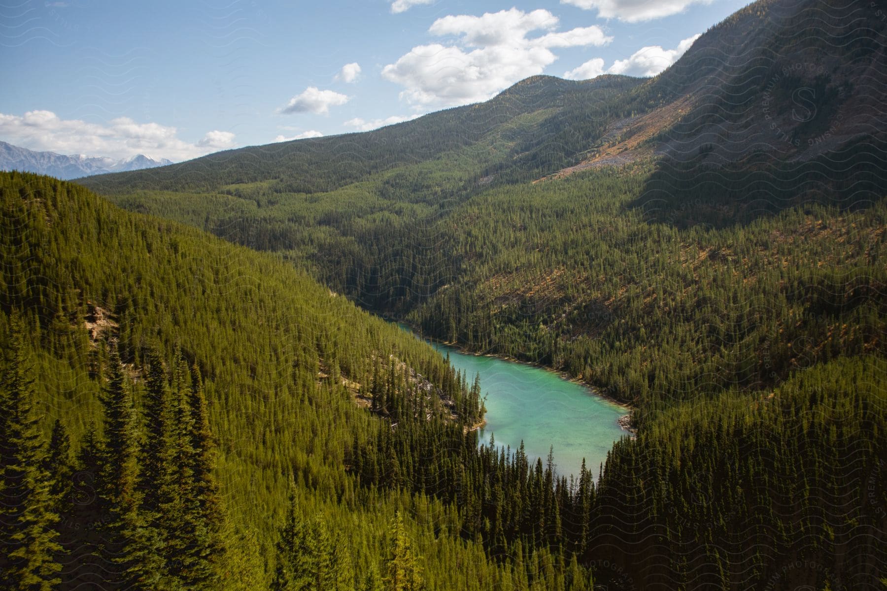 A forested hillside surrounds a clear lake in this aerial view