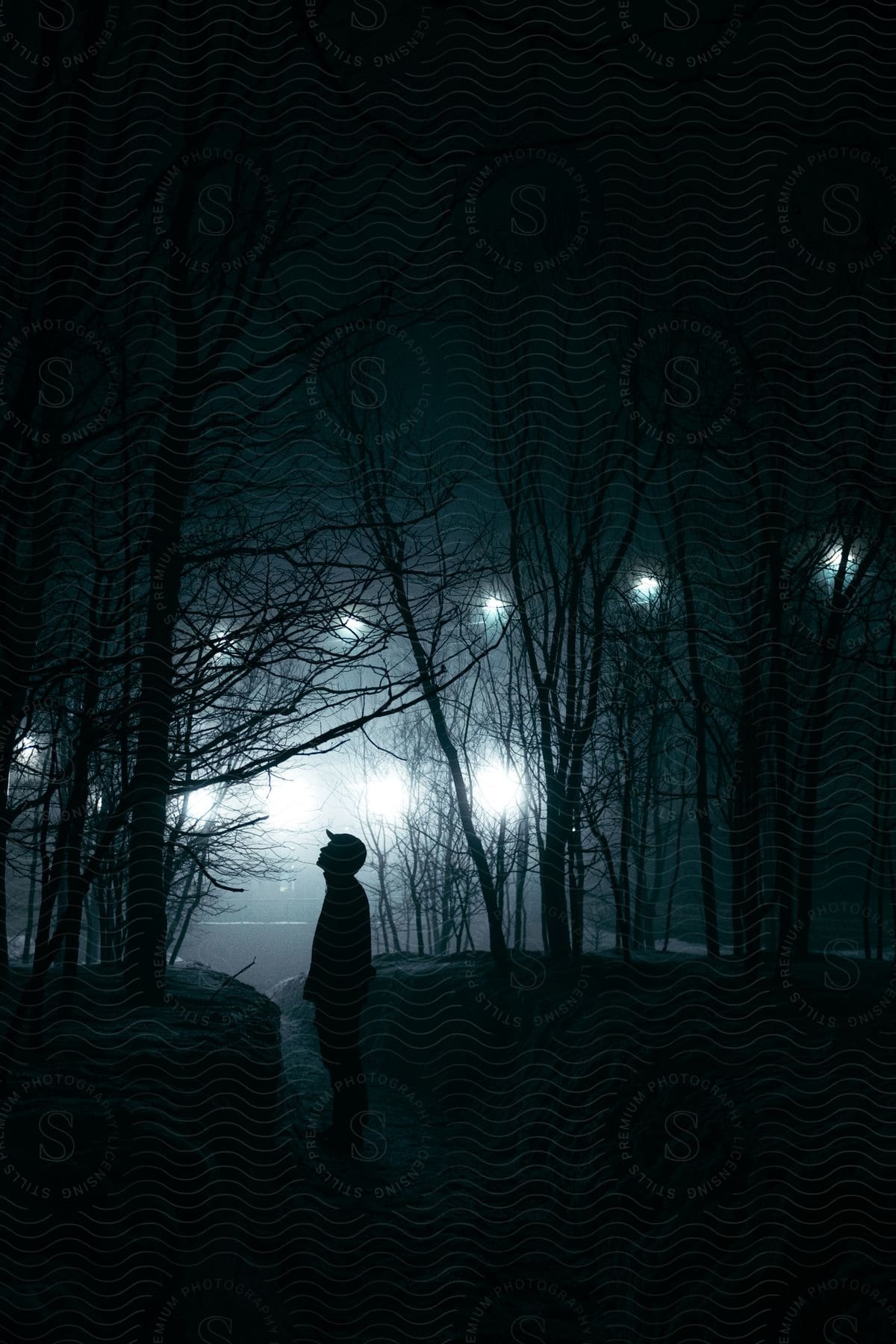 A Man Standing In A Forest At Night Looking Upward