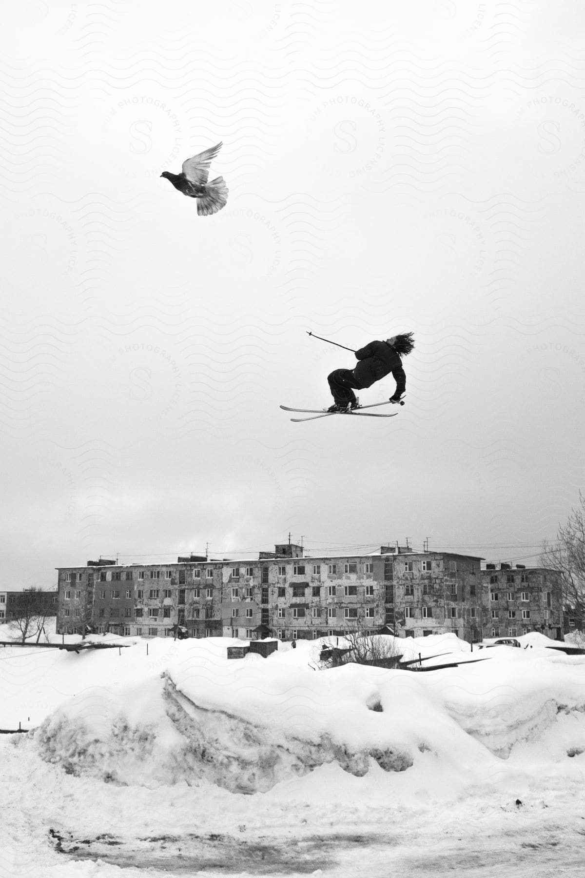 A person performs a ski jump high in the air while a pigeon flies nearby