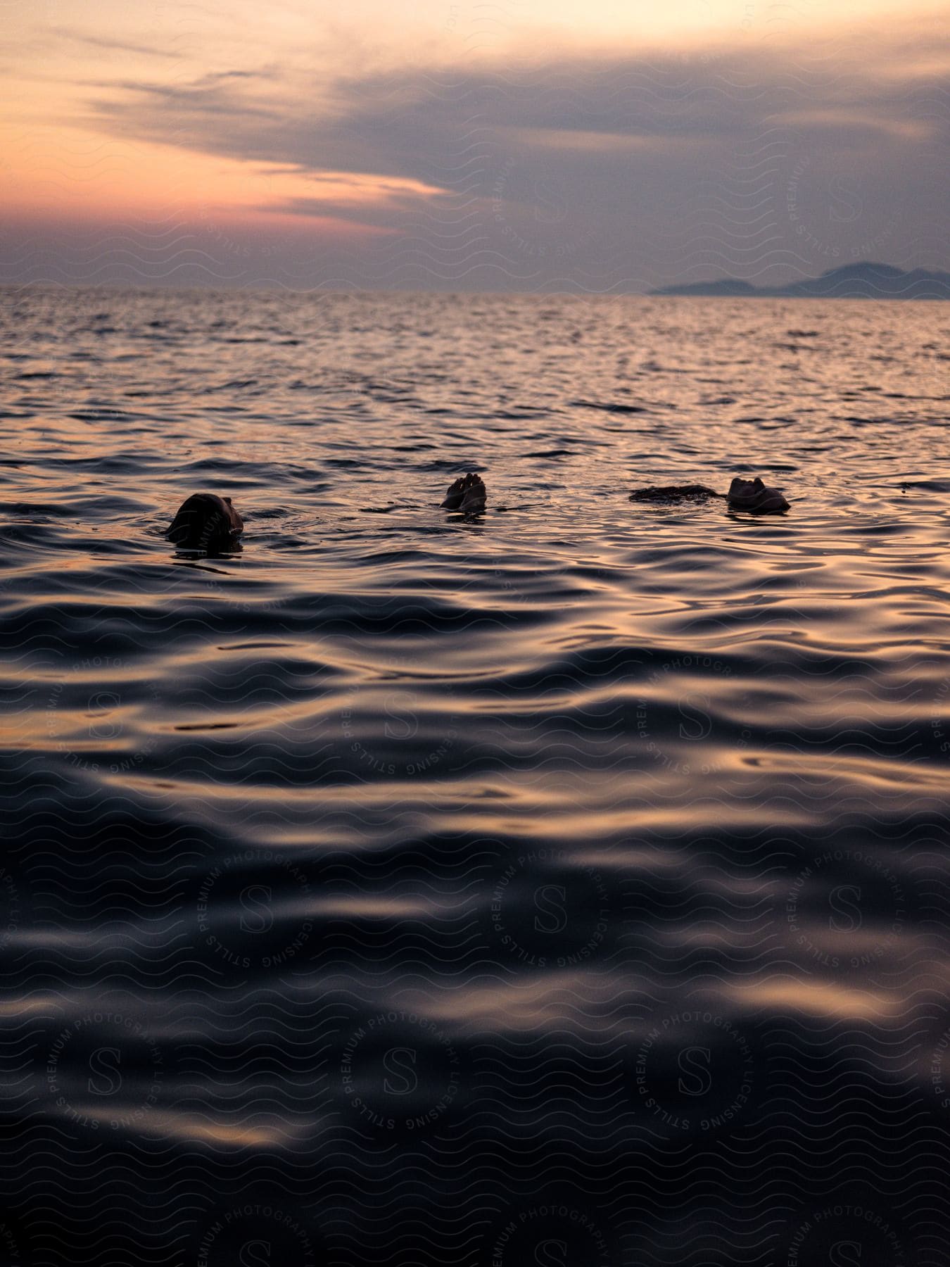 Two people swimming in an open sea at dusk with the sun setting over the horizon