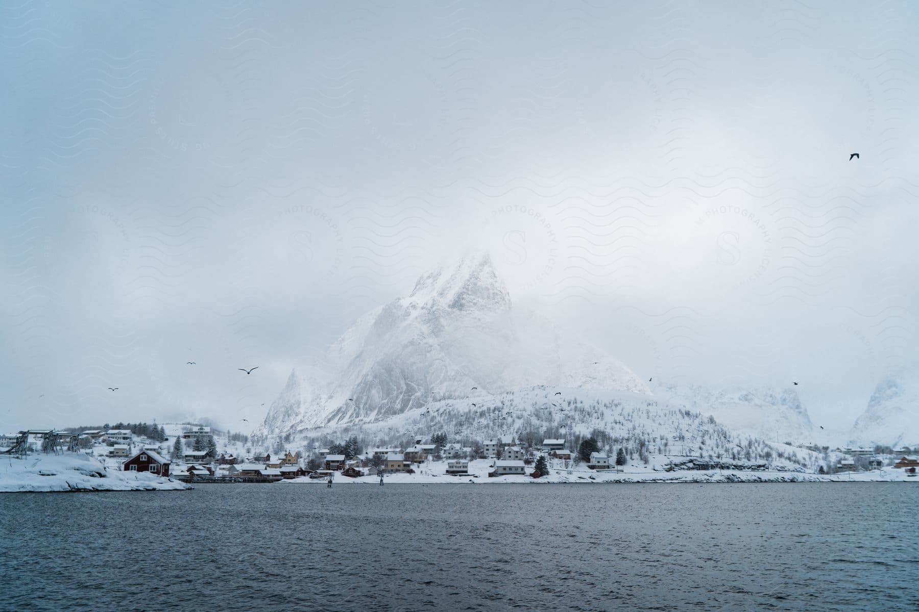 An arctic landscape with houses in norway