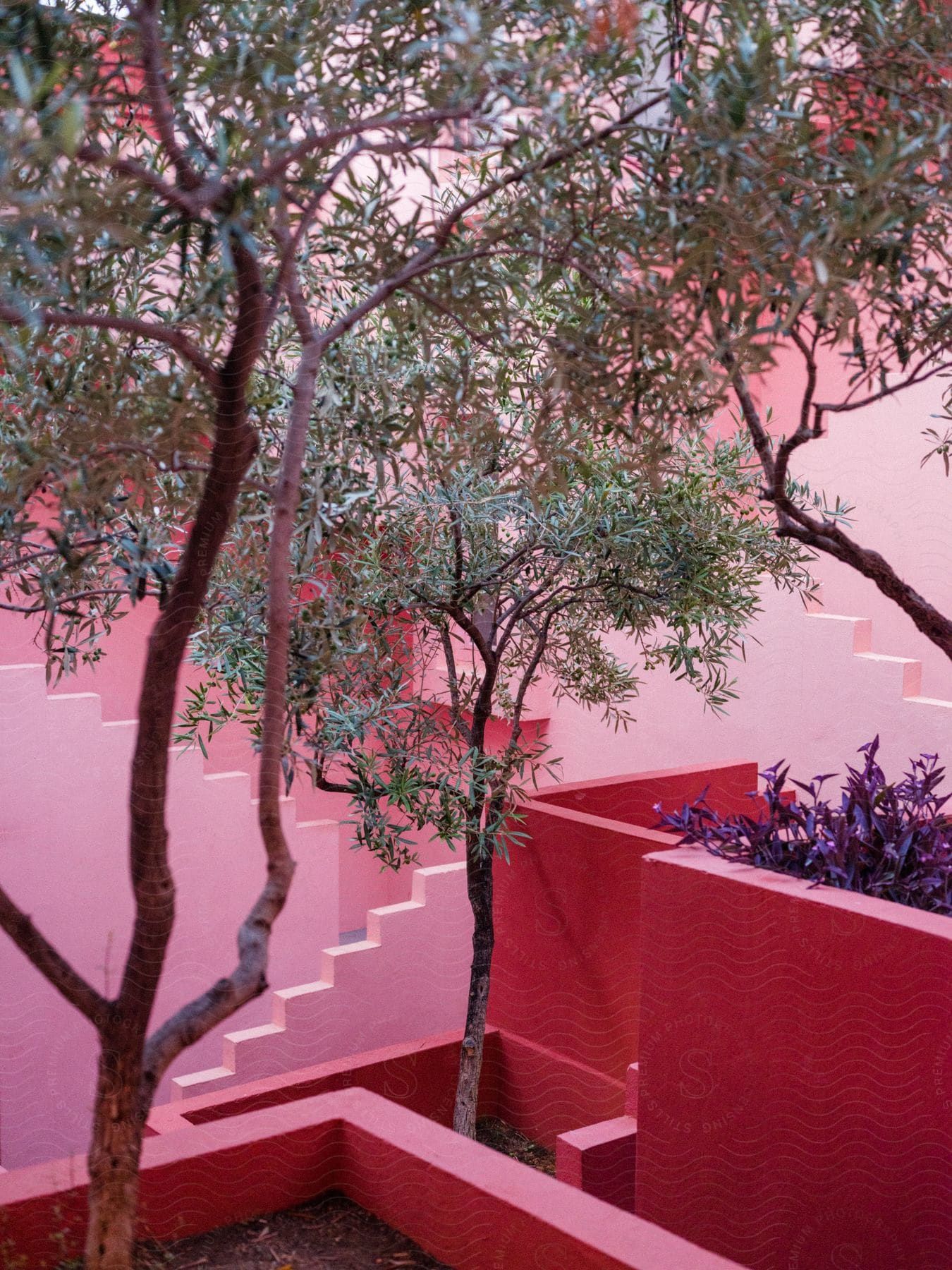 A pink flower in a wooden planter on a staircase in a city