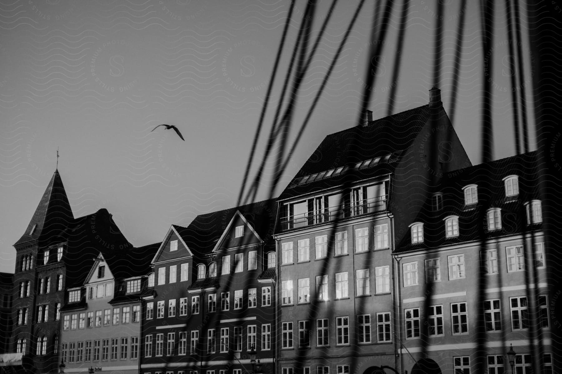 Black and white photograph of urban city houses