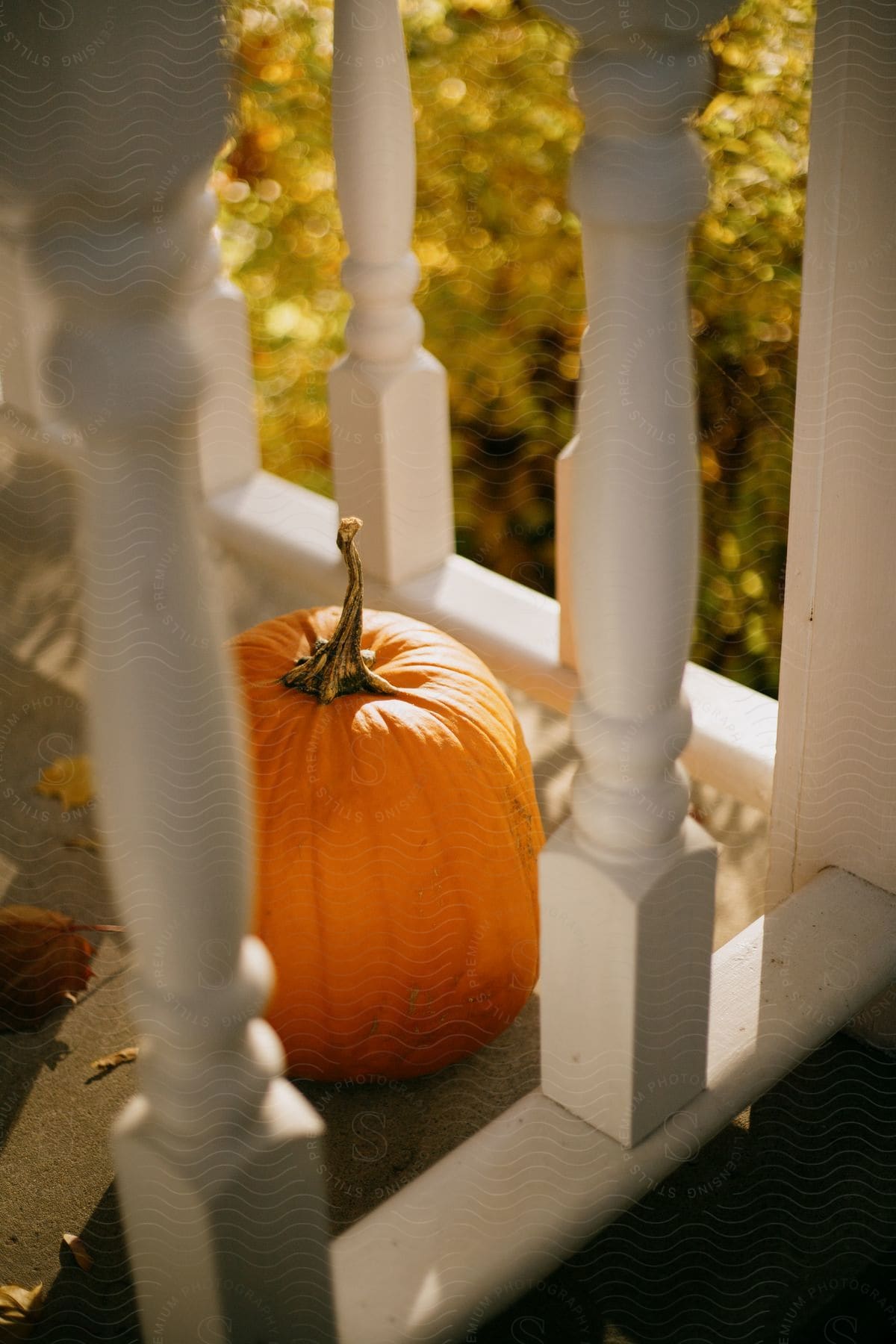 Pumpkin on porch corner with white banisters