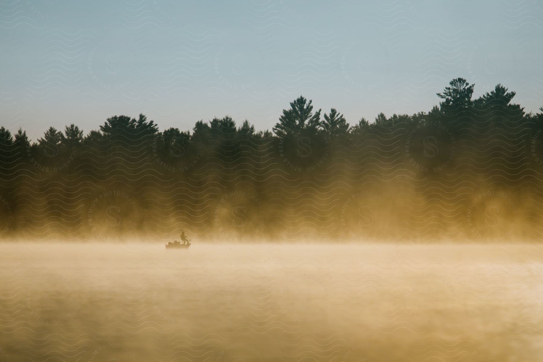 Lake with fog and forest in the background