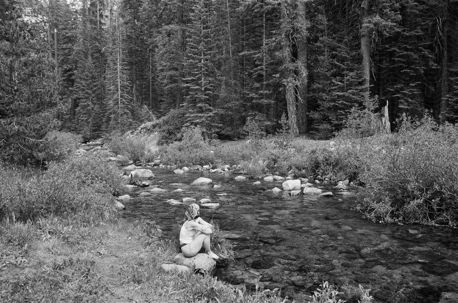 A woman sits on a rock near a small creek flowing in a forest full of fir trees