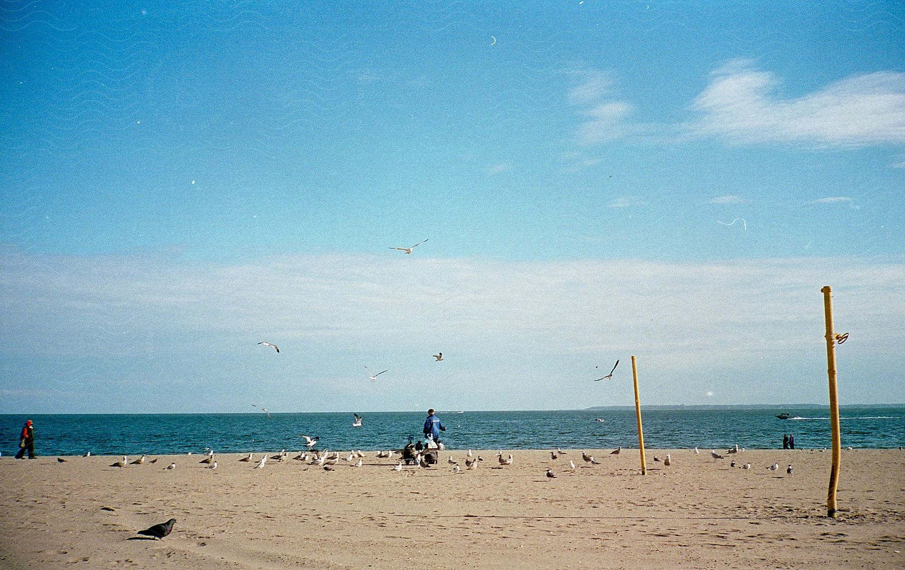 Two people on a beach with a sailboat in the background
