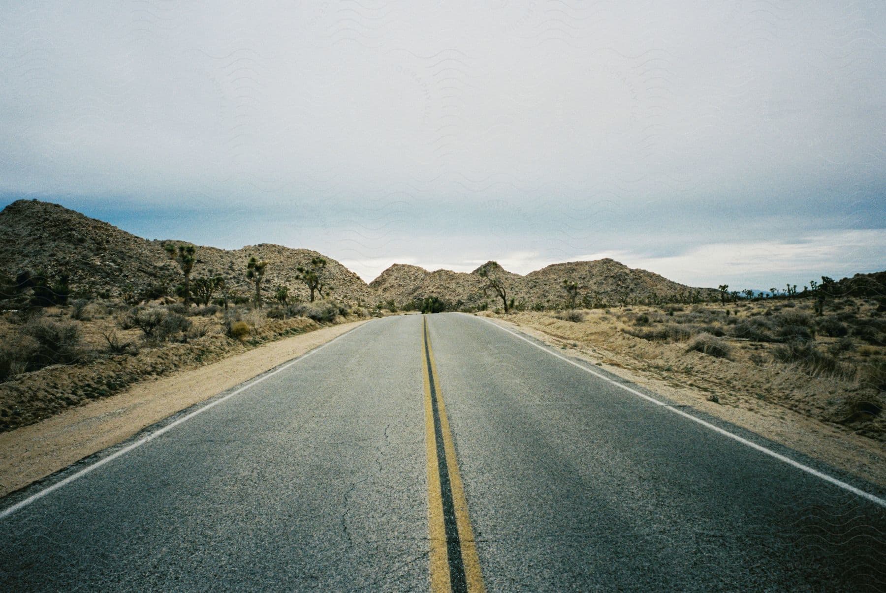 A road cutting through a natural landscape with cloudy sky and plants on the side