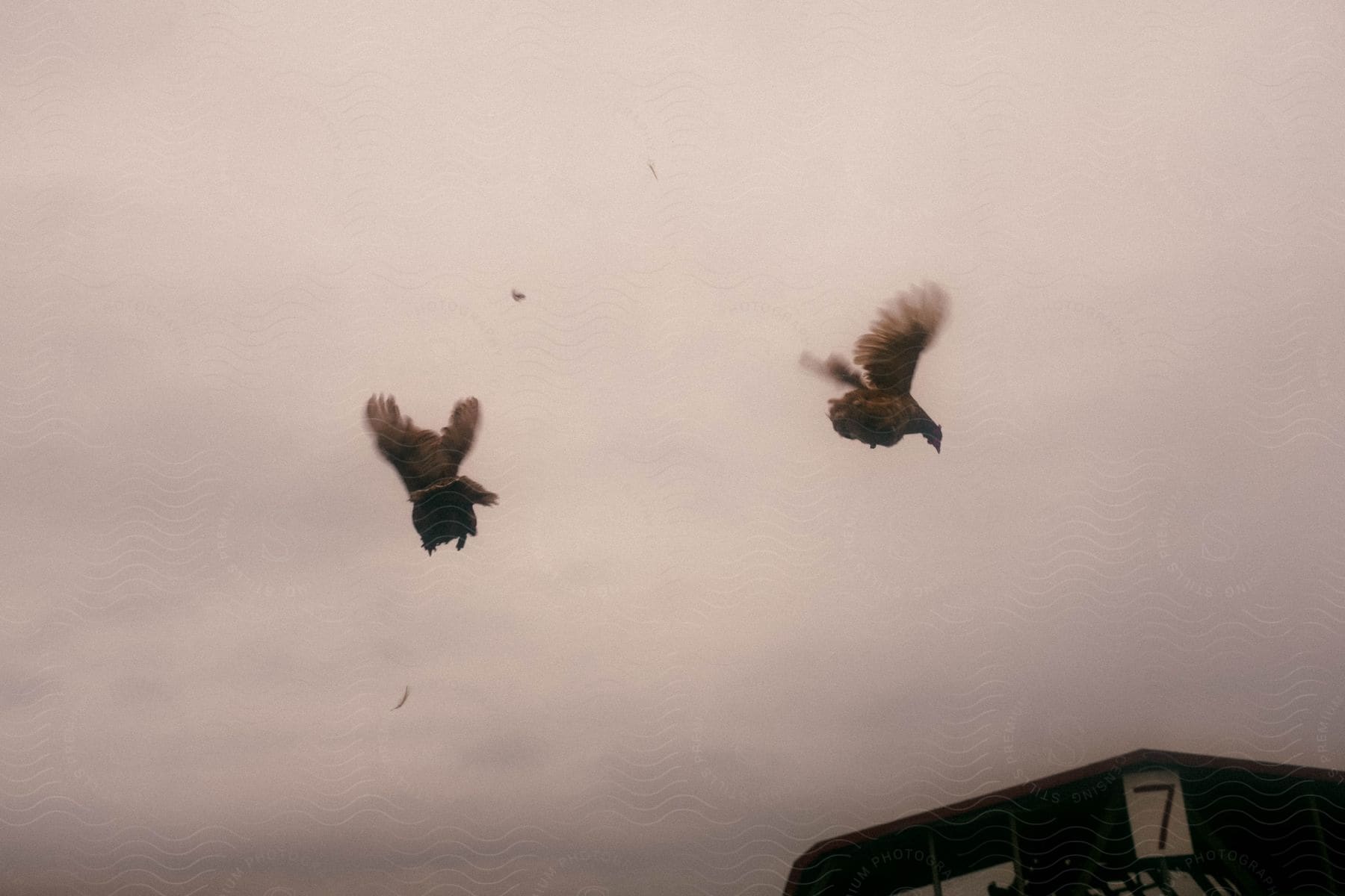 Birds Flying In A Cloudy Sky Above A Building