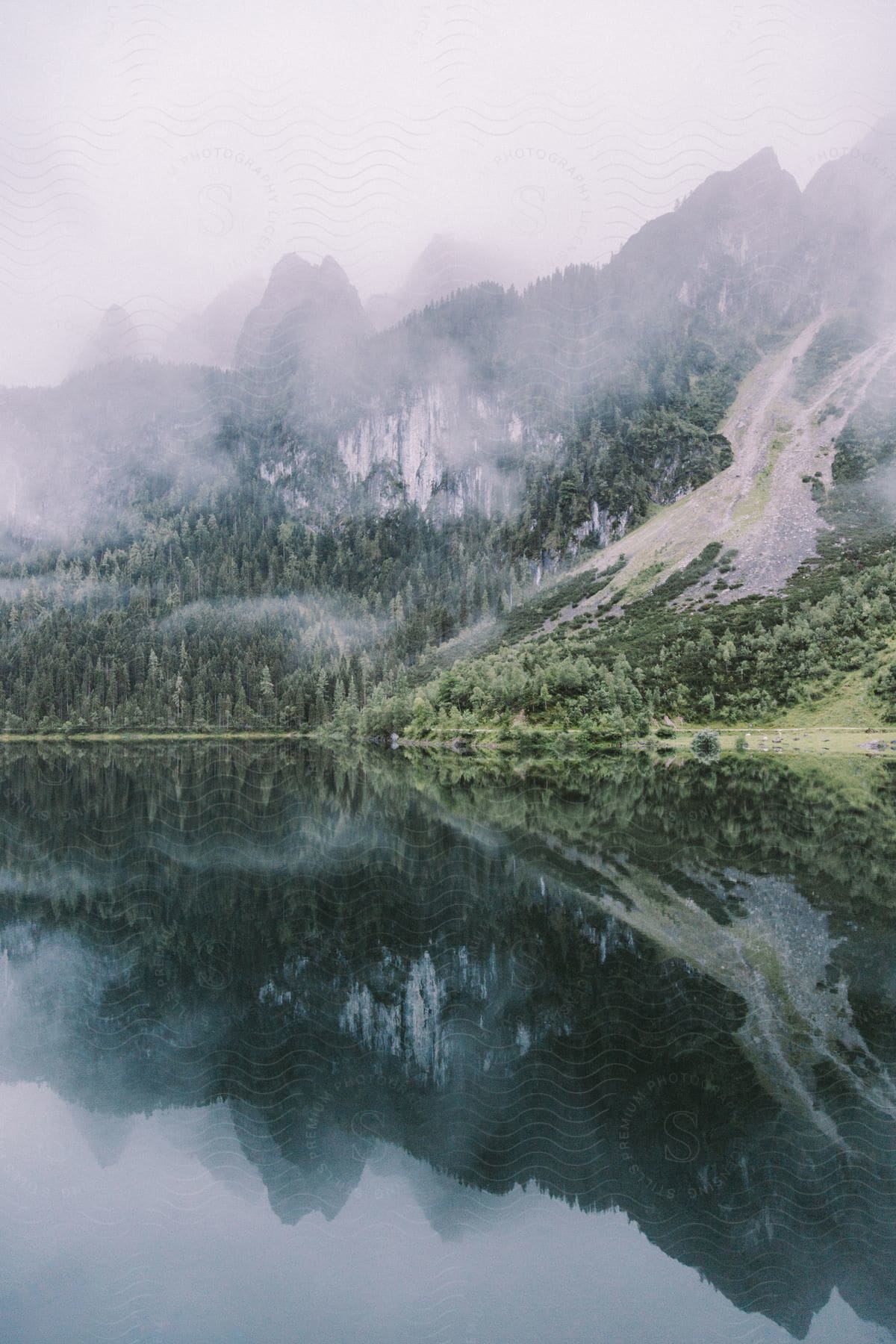 Mountains And Trees Covered In Fog