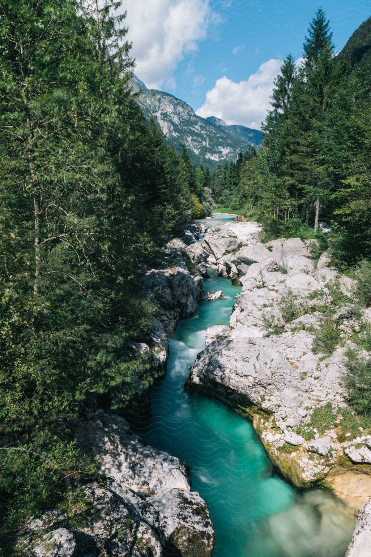 Mountain landscape with treelined stream and background mountains