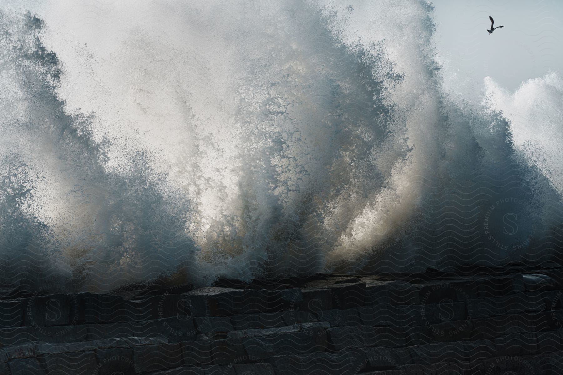 Crashing waves splash into the air against a low brick wall