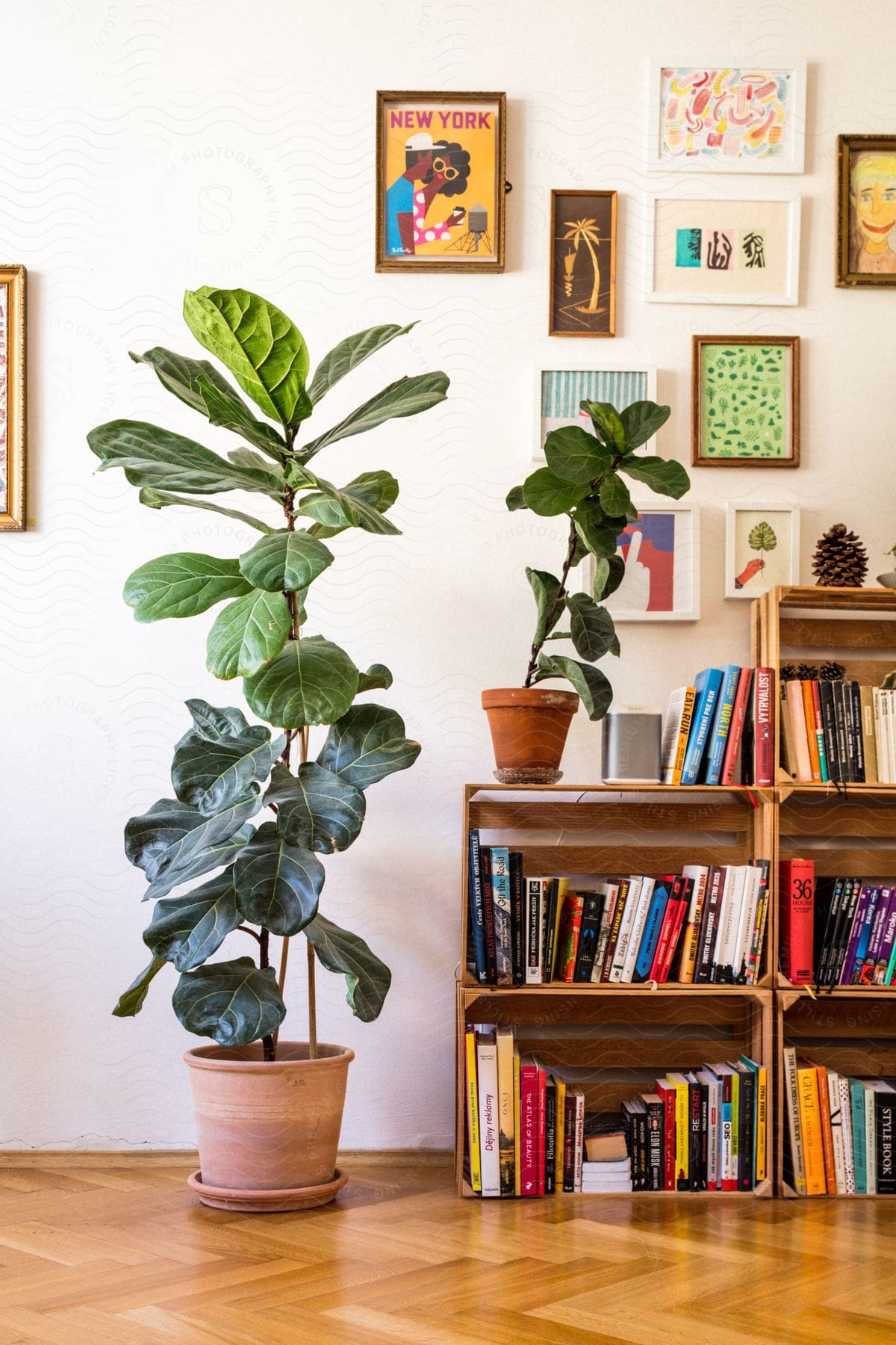 A room with bookcases painting and plants