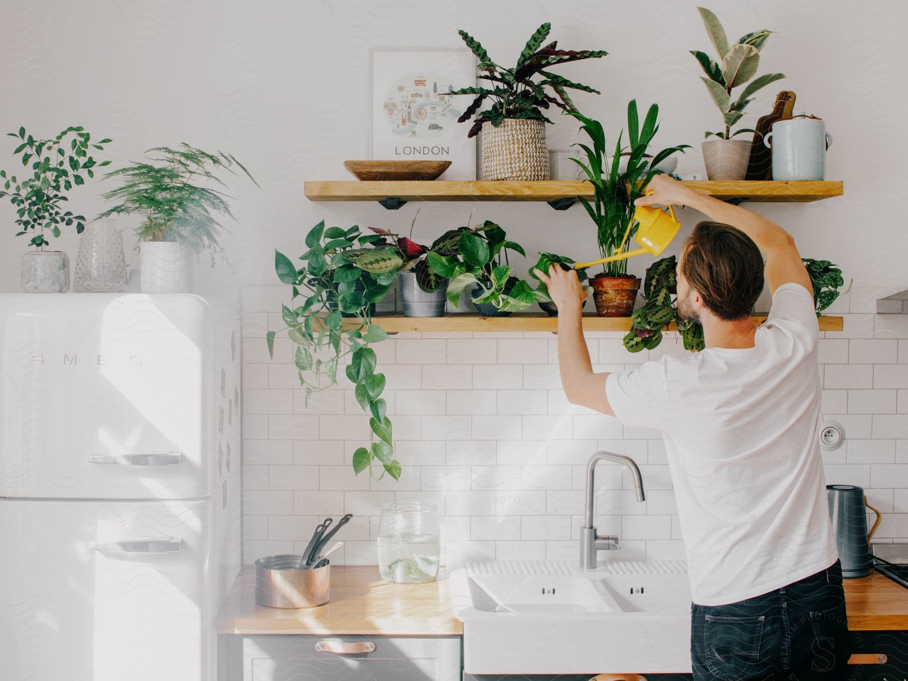 A man waters plants on shelves above a farmhouse sink in a white kitchen