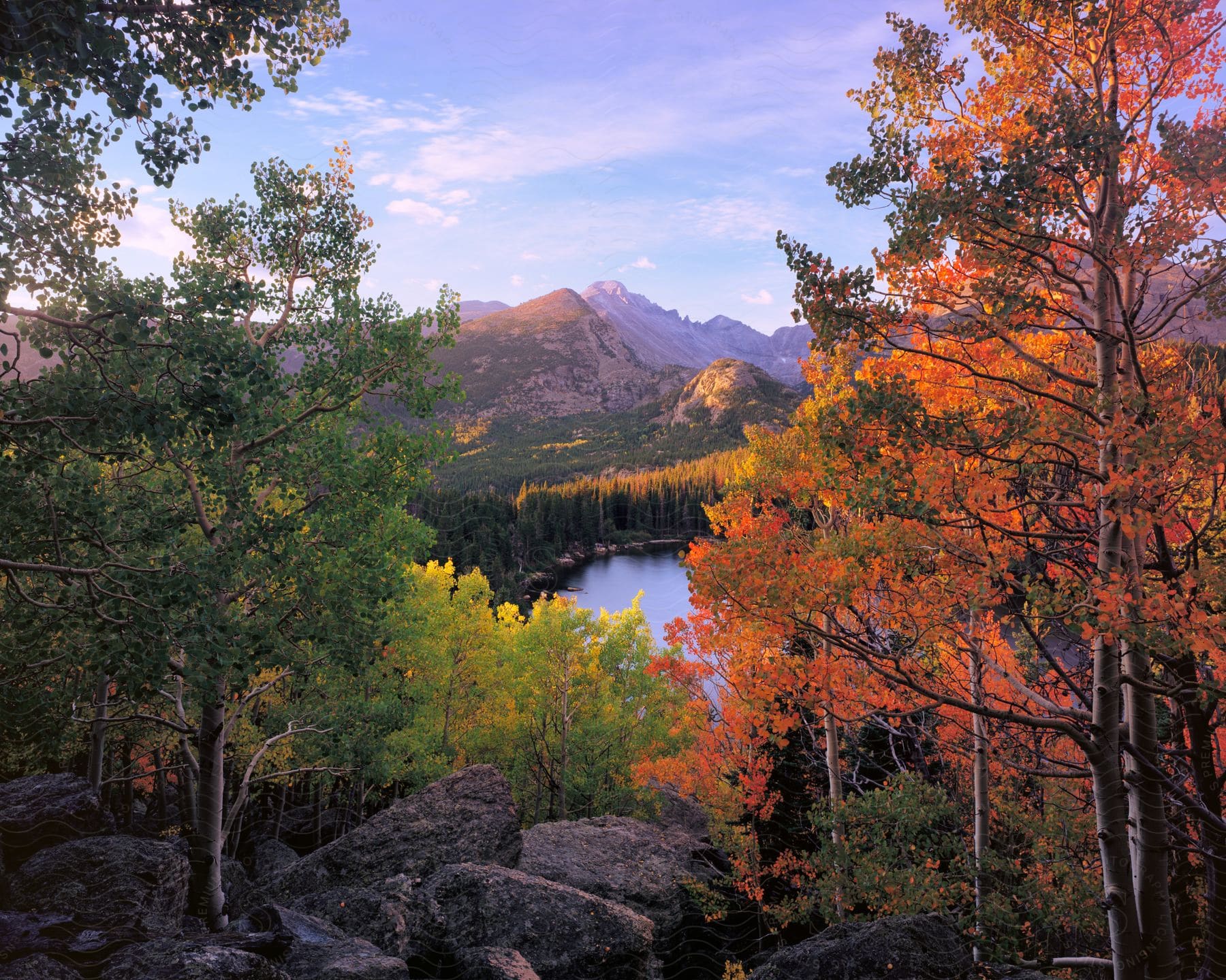 A lake and mountains seen through an autumn forest