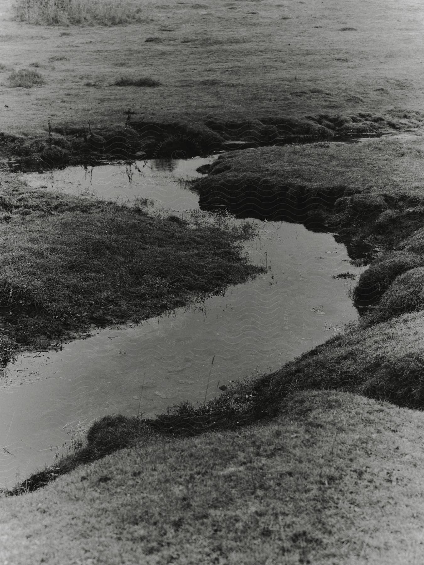 A black and white stream flows through flat land in skåne sweden during fall