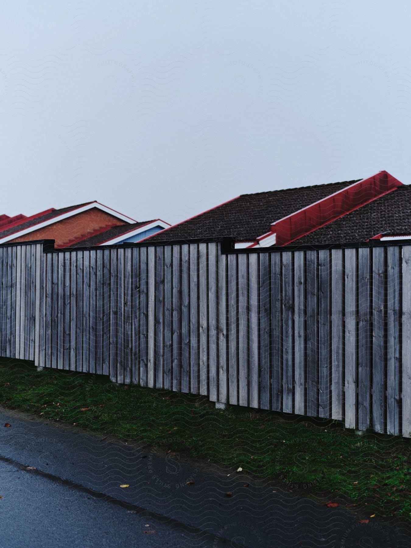 Suburban neighborhood with a cluster of houses surrounded by nature featuring a picket fence