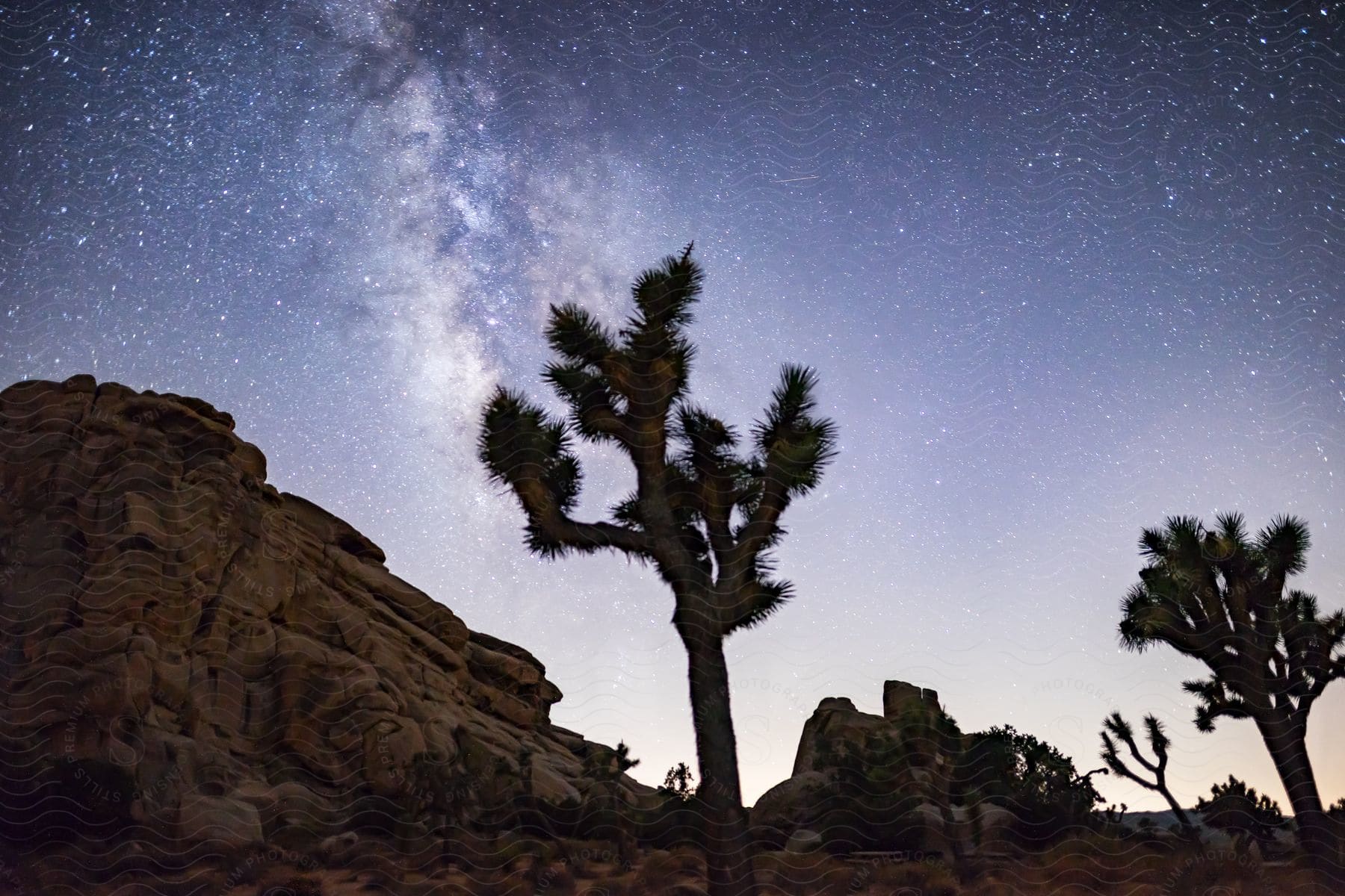 Mountains and rock formations among trees and plants under the milky way in the night sky