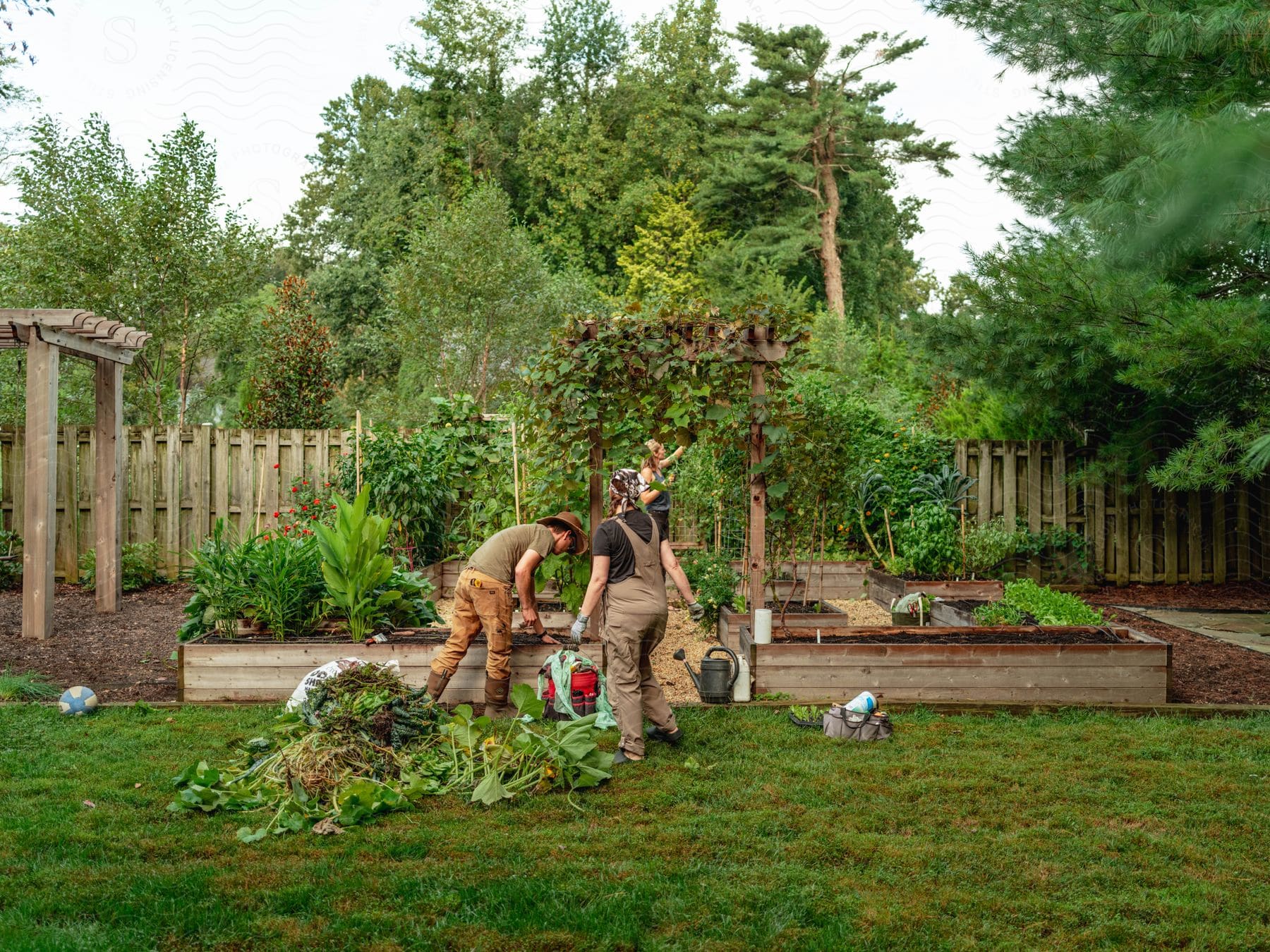 Three people two men and a woman are gardening and planting new plants in a large garden