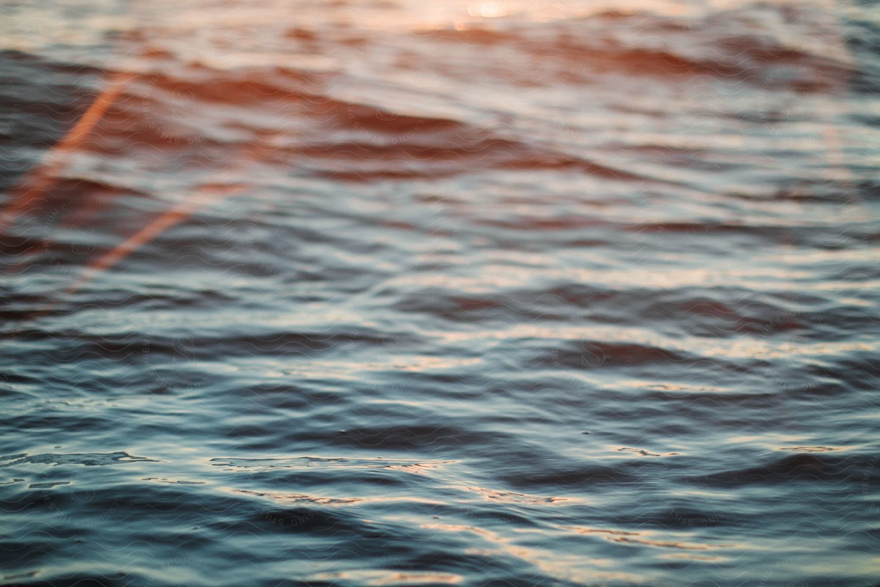 A body of water with small waves and the evening glow shining down