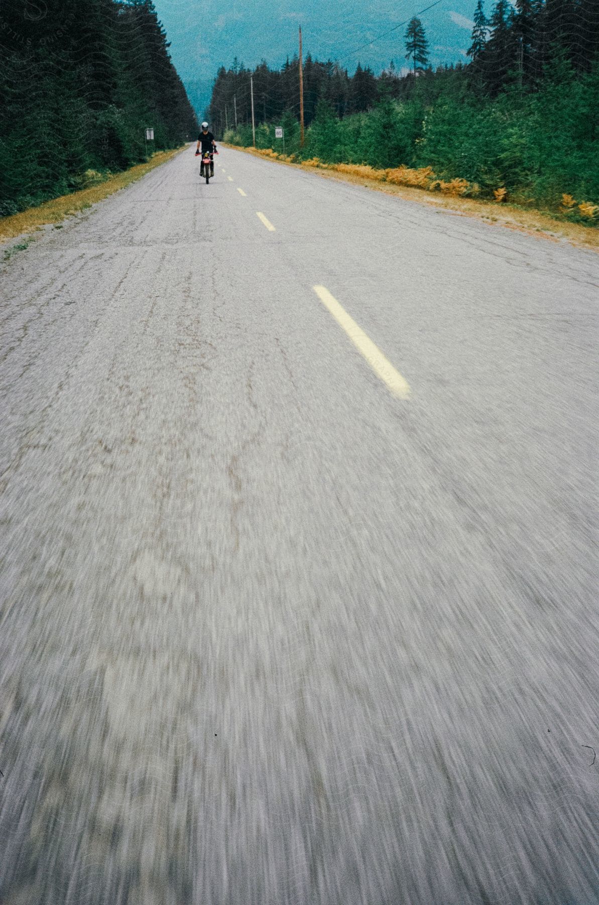 A cloudy day on a highway surrounded by evergreen forests with a bicyclist riding down the road