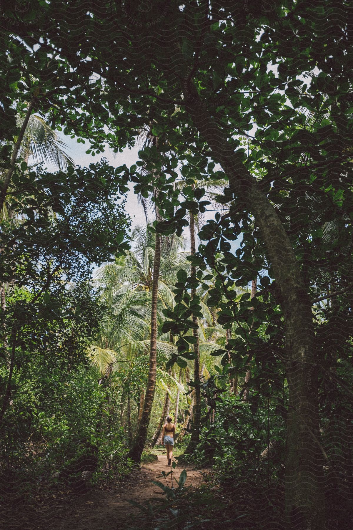 A woman walking on a forest trail