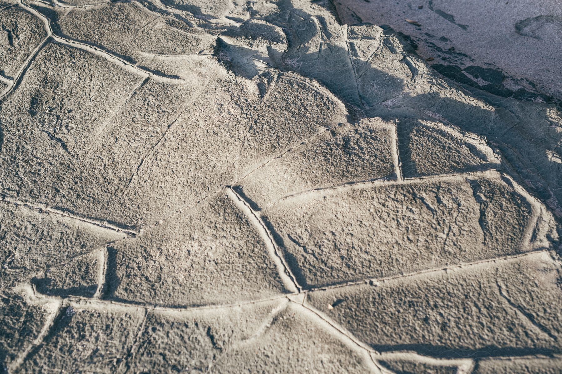 Dry mud with geometric shapes formed by lines