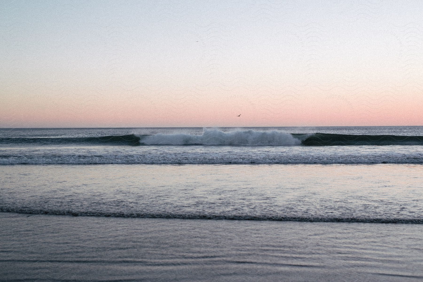 Waves in the ocean near land