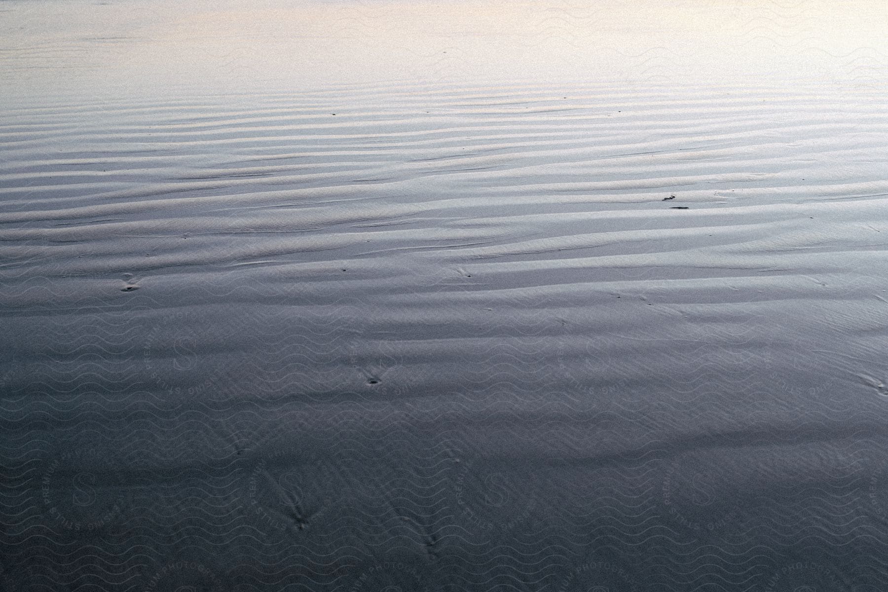 Water ripples in the ocean on a sunny day