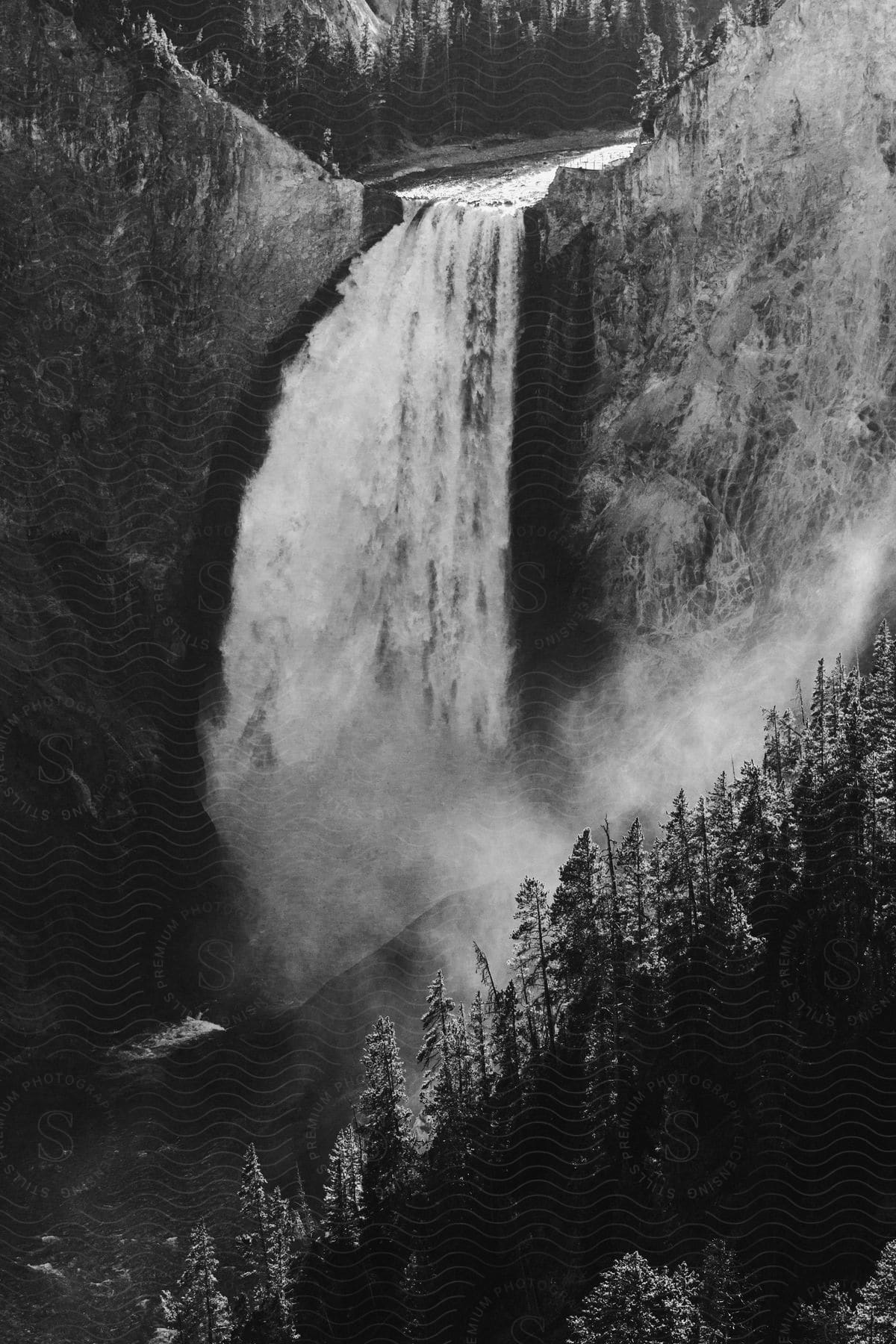 A blackandwhite image of a waterfall surrounded by trees and vegetation in a natural landscape