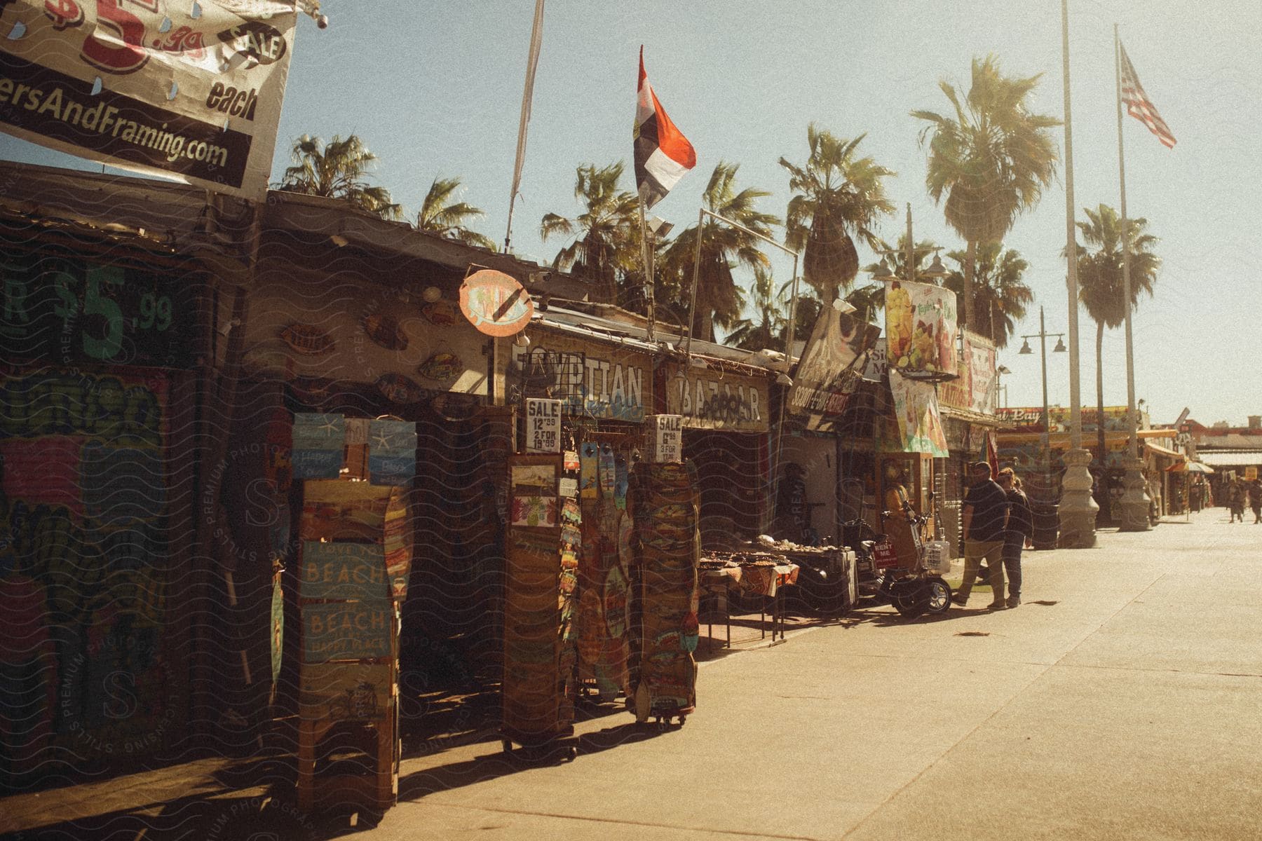 An empty urban street with buildings and a palm tree