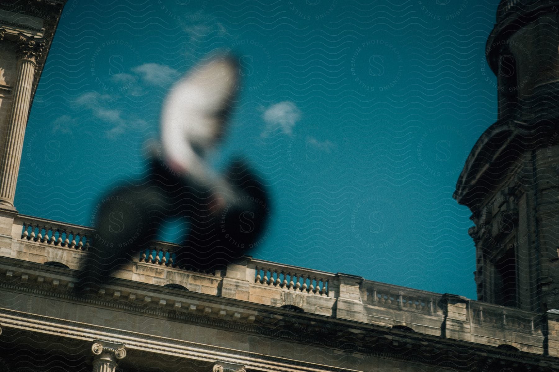 Blurred bird flying over an old classical style building with blue sky in the background