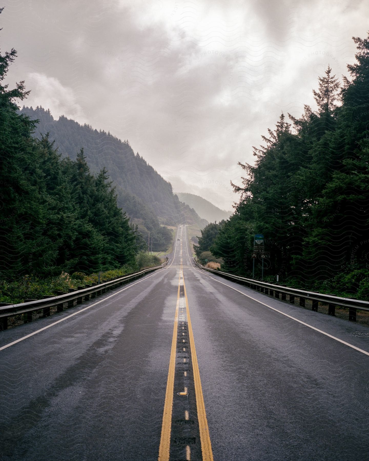 A road runs through a raincovered forest with hills on a cloudy day