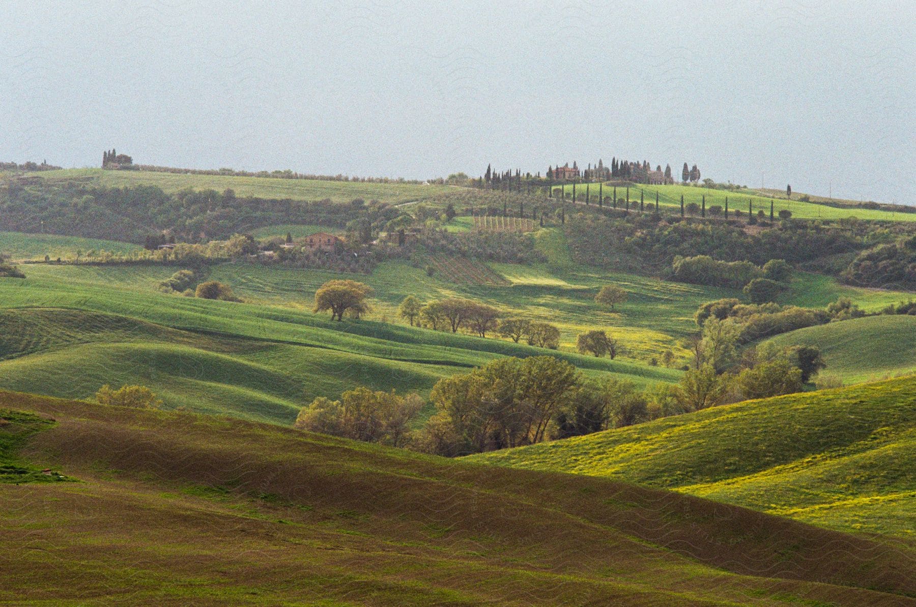 Green hills on the countryside under a blue sky