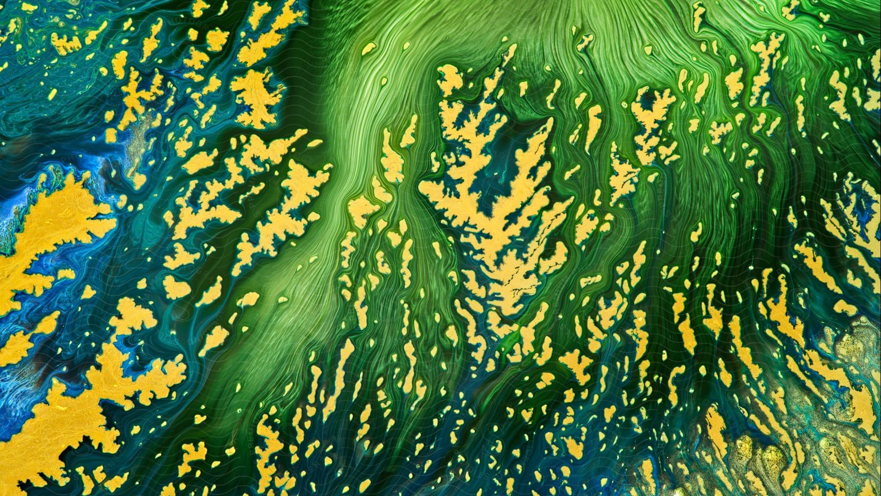 Abstract landscape featuring living vegetation created with paint on a piece of paper