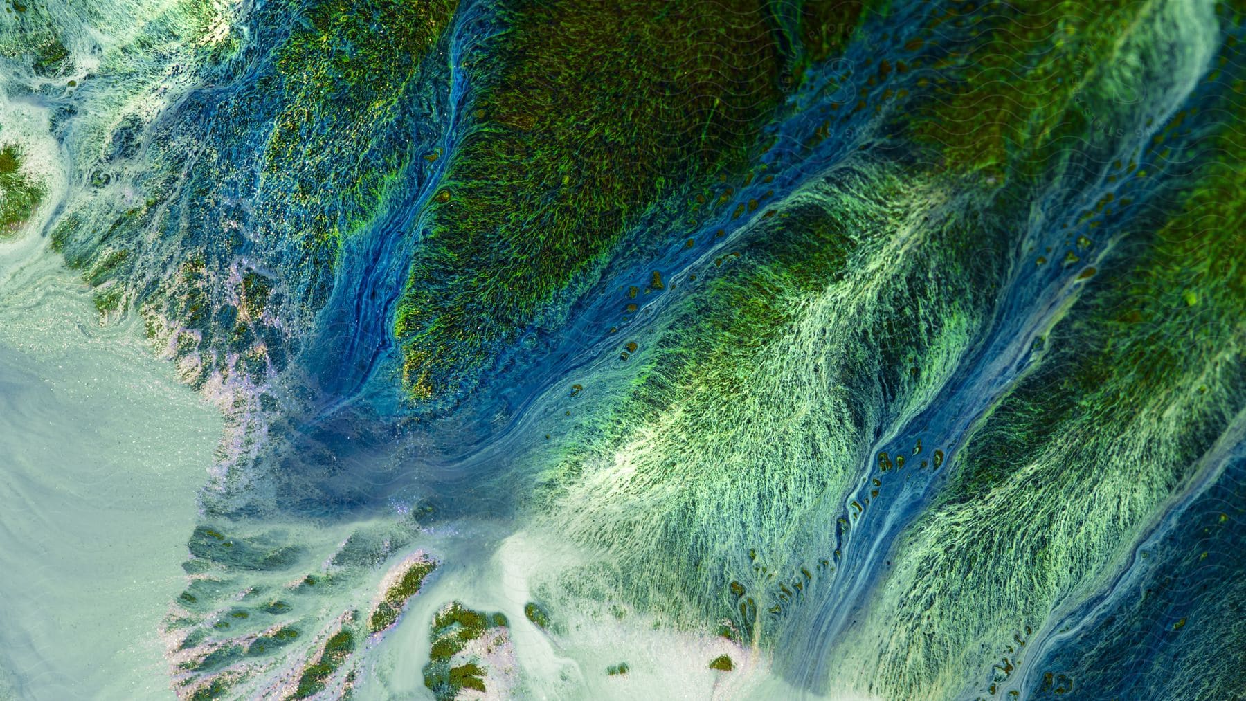 Abstract algae patterns in a waterway