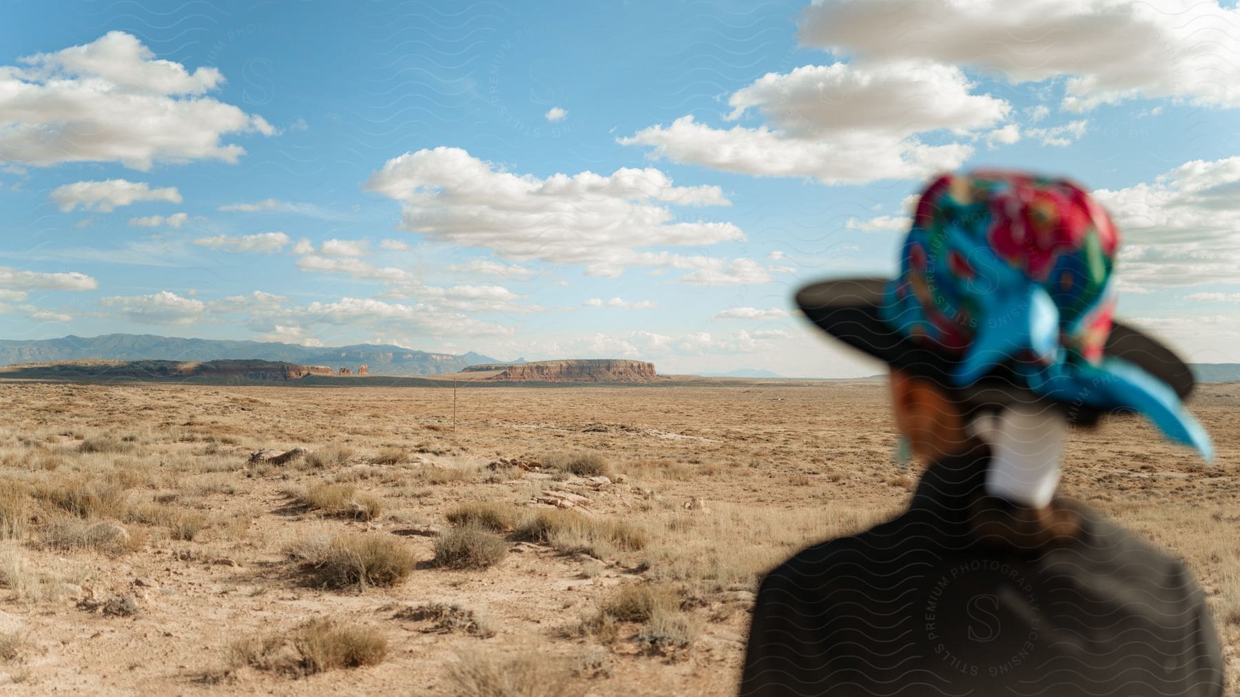 A person wearing a sun hat under a cloudy sky in nature