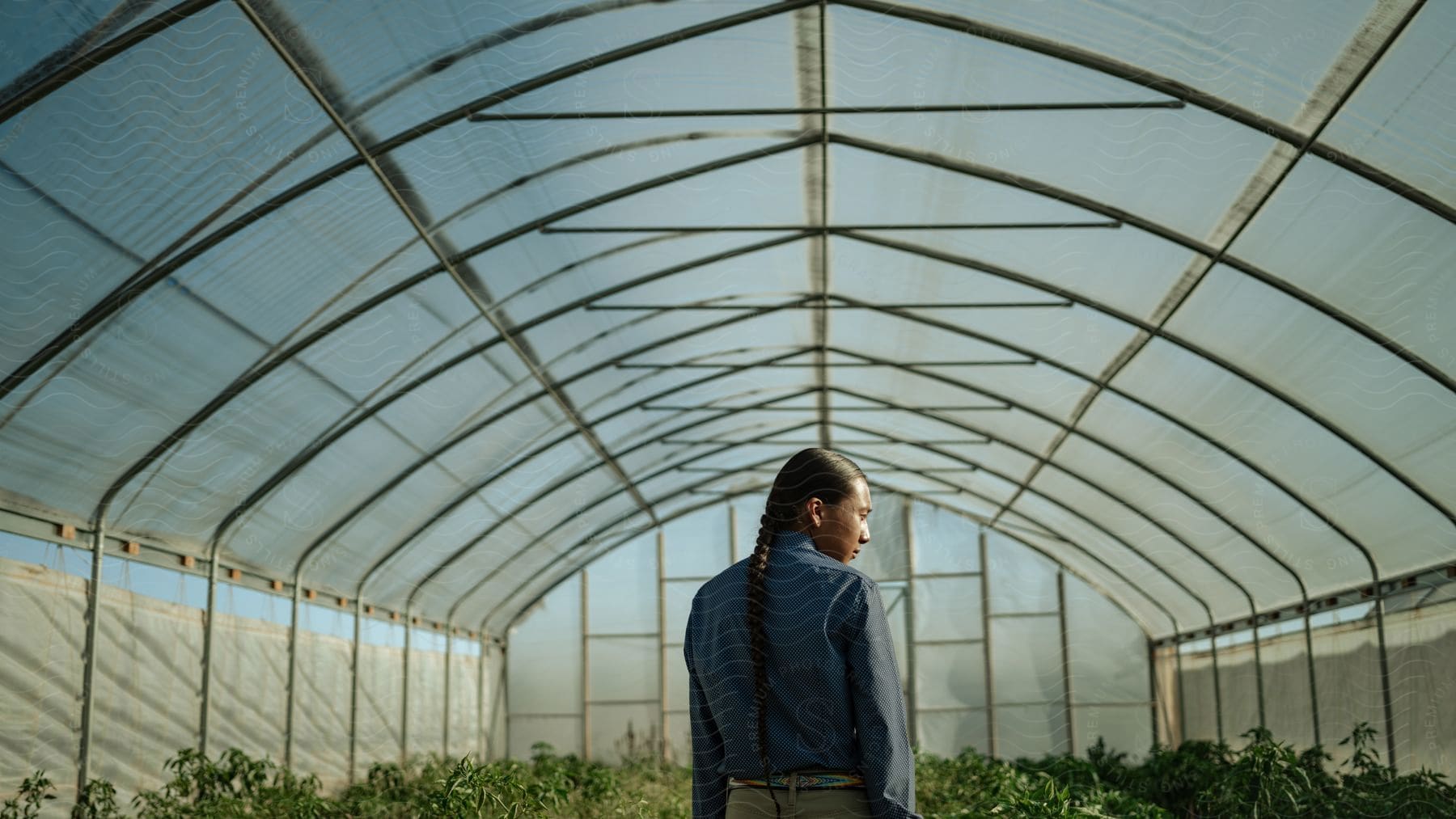 Young man standing inside of a greenhouse under a blue sky looking to the right