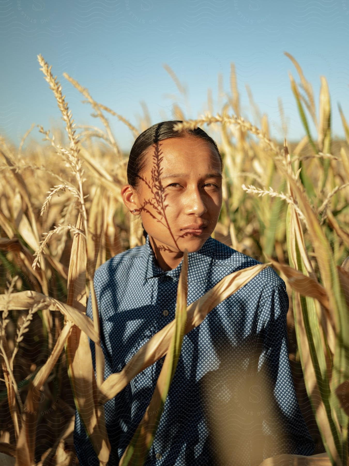 A woman standing in a field of corn